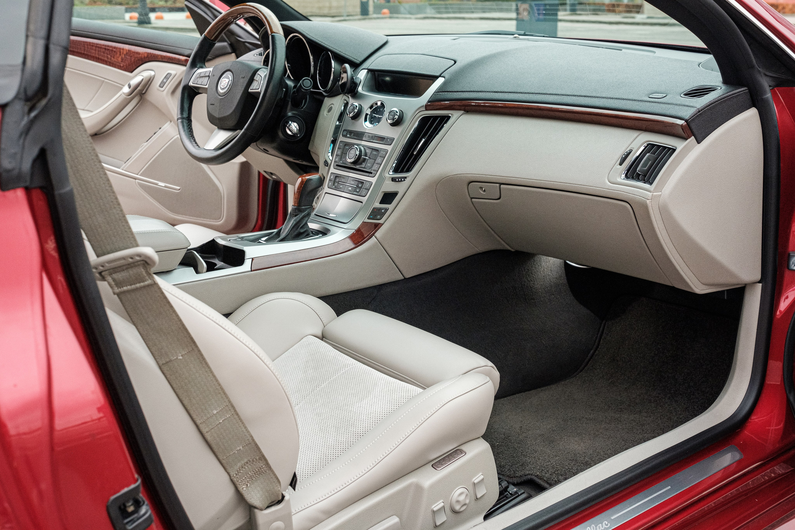 Кэдди. Алексей Никифоров фотограф Москва, Химки