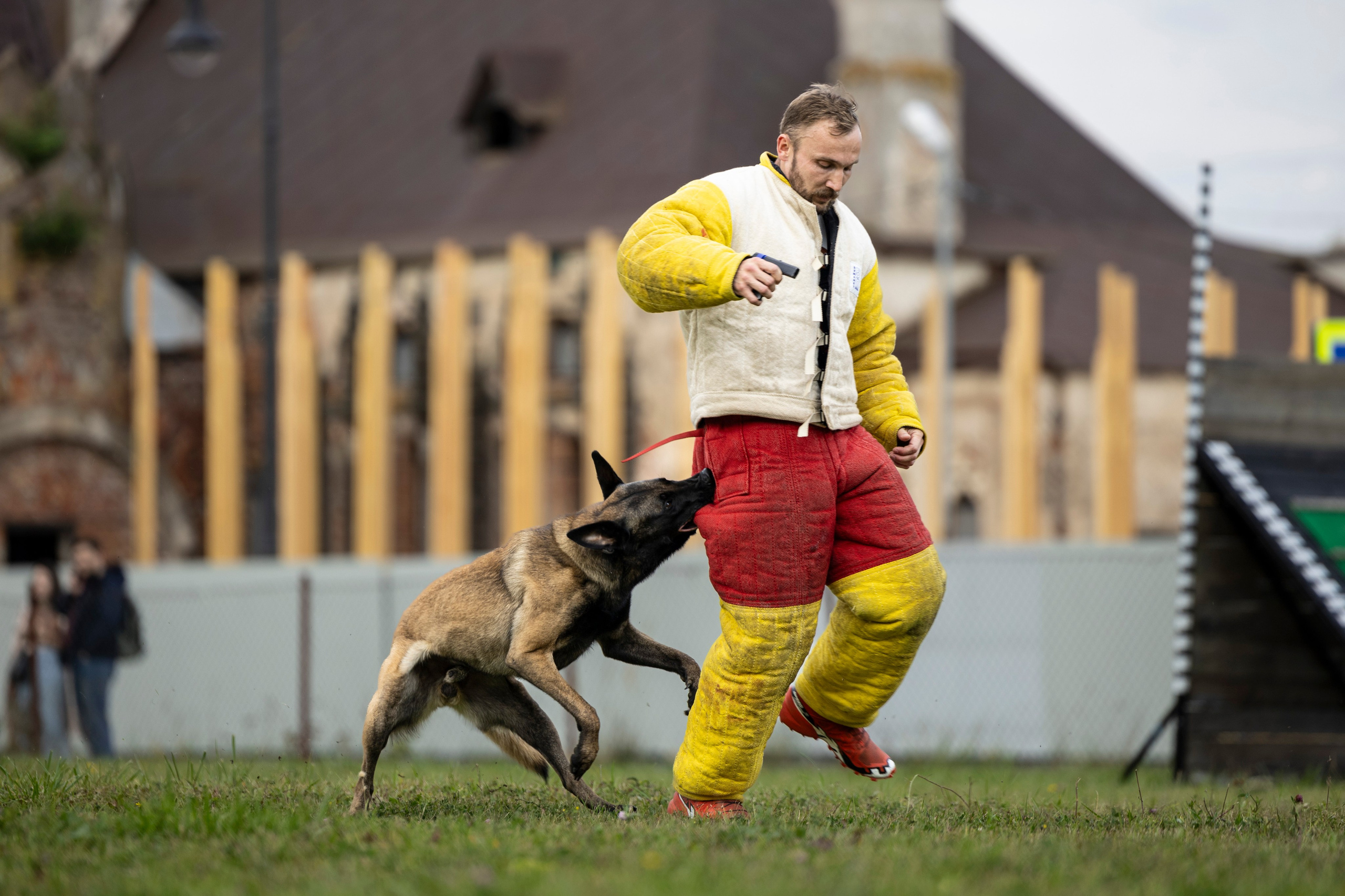 Испытания по Мондьорингу г. Пушкин. Фотограф-анималист Анна Маринич