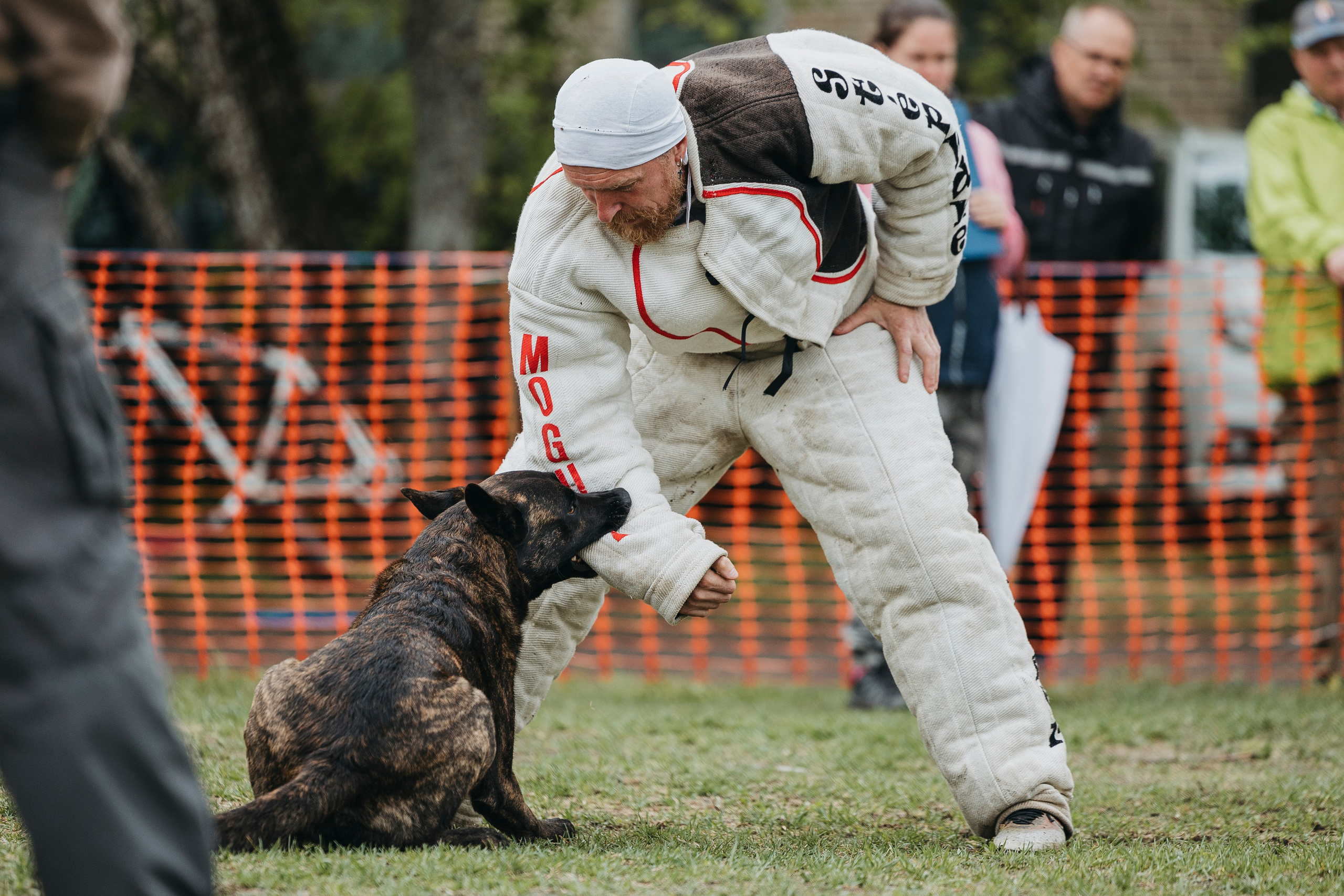 26.05.25 г. Пушкин квалификационные соревнования. Фотограф-анималист Анна Маринич