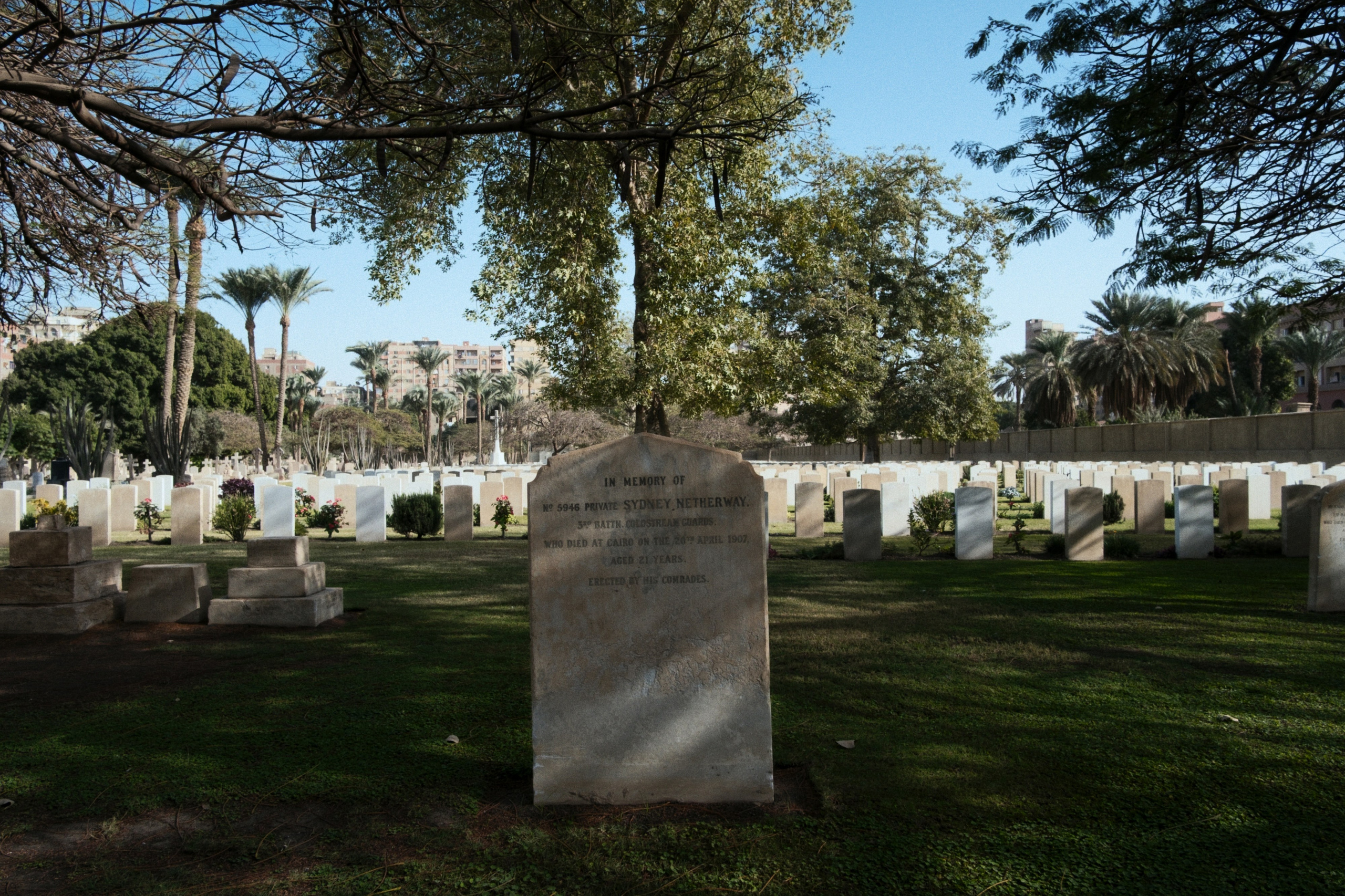 War Memorial Cemetery / Cairo, Egypt AW25. Фотограф Юрин Евгений