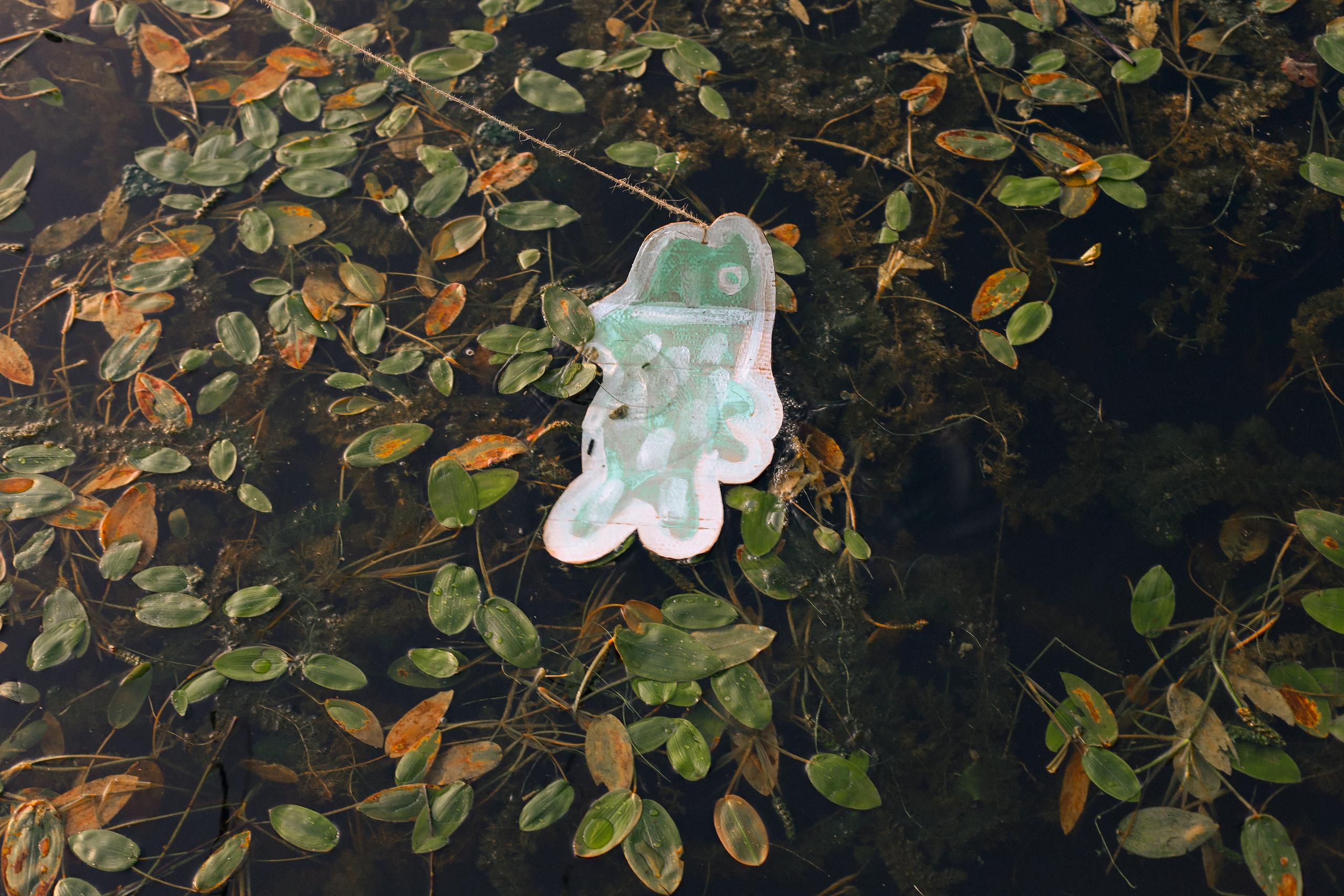 Фотопроекты. Семейный и детский фотограф в Санкт-Петербурге «Chilik»