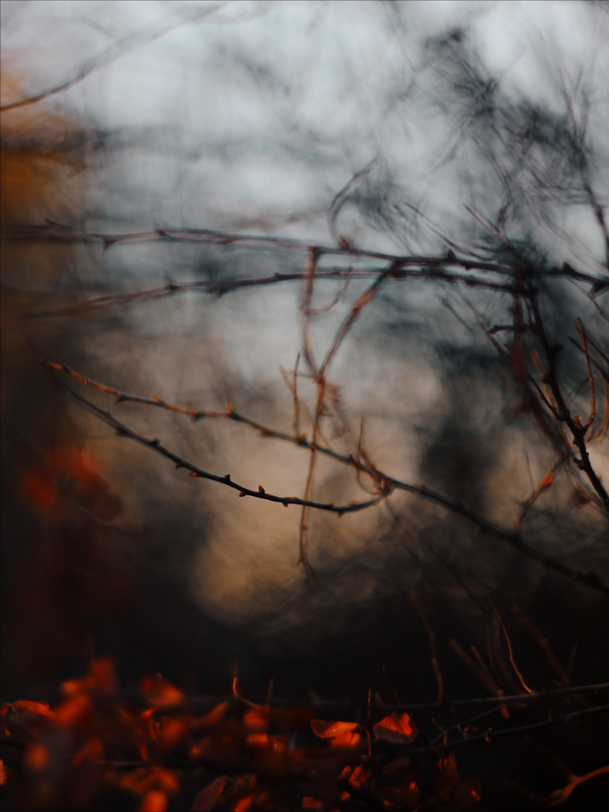 Эфемерность моментов. С любовью, фотохудожник