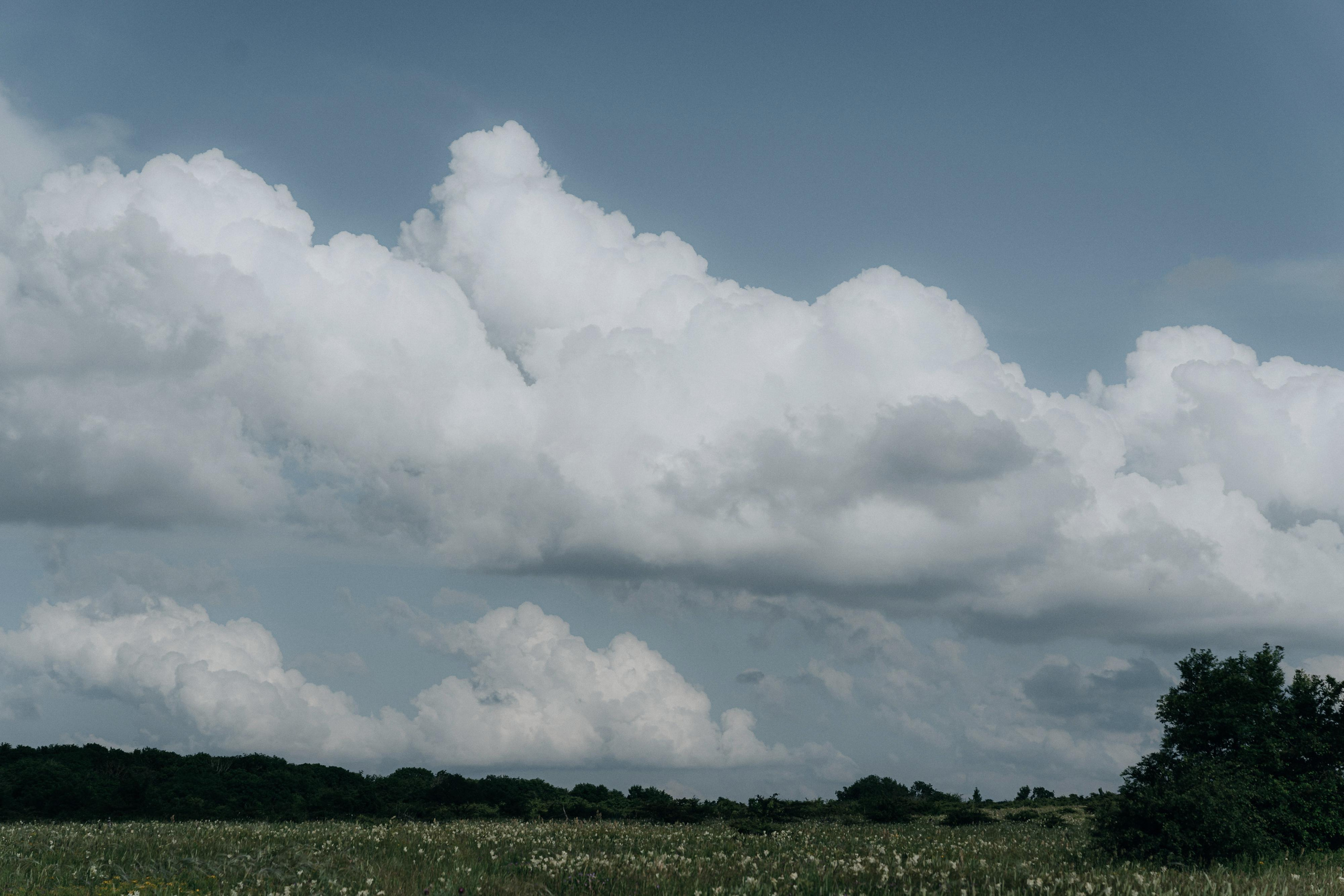 Мария & Евгений. Главная
