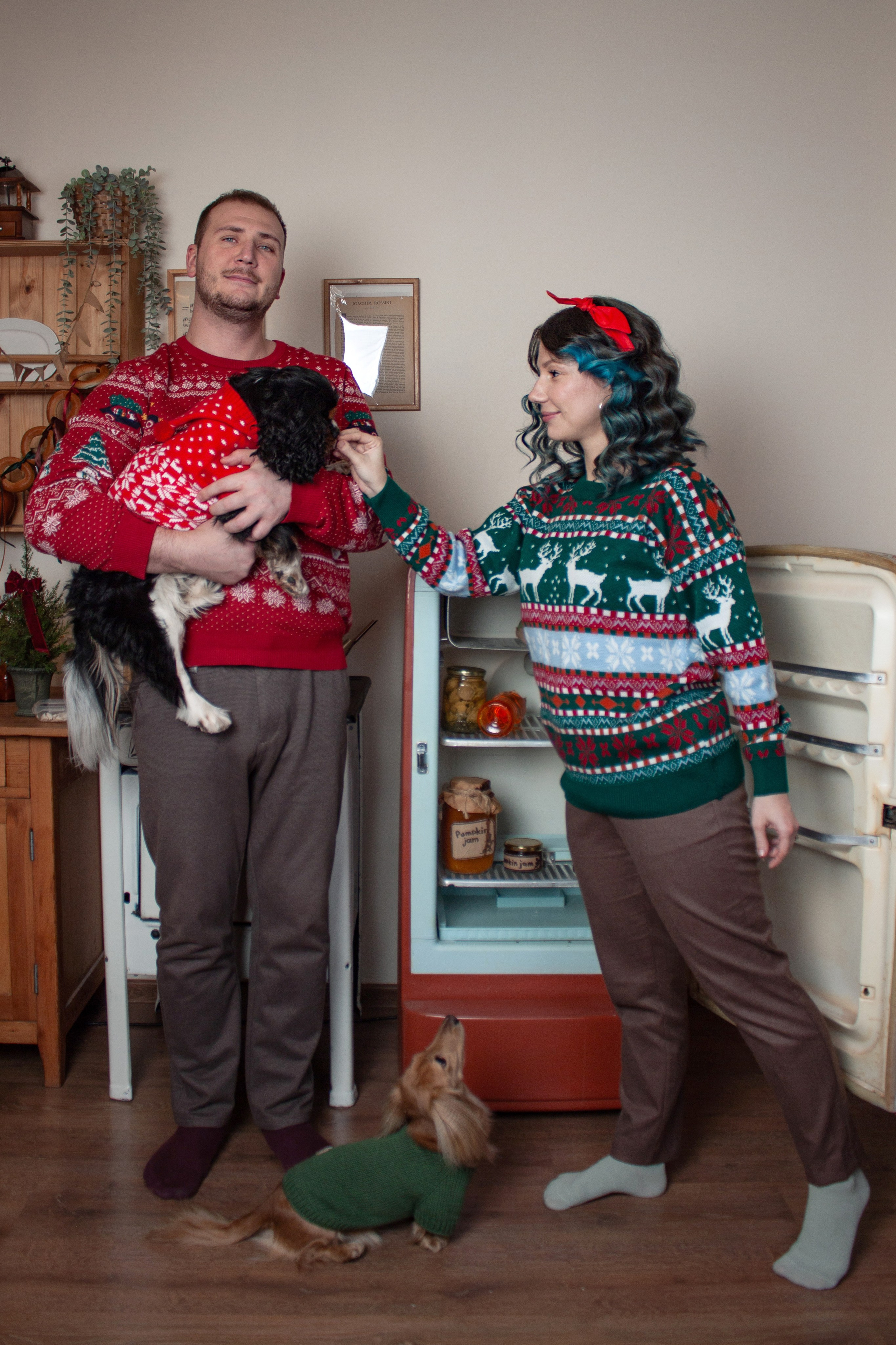 Новогодние собаки. Фотограф в Санкт-Петербурге Рейдер Дарья