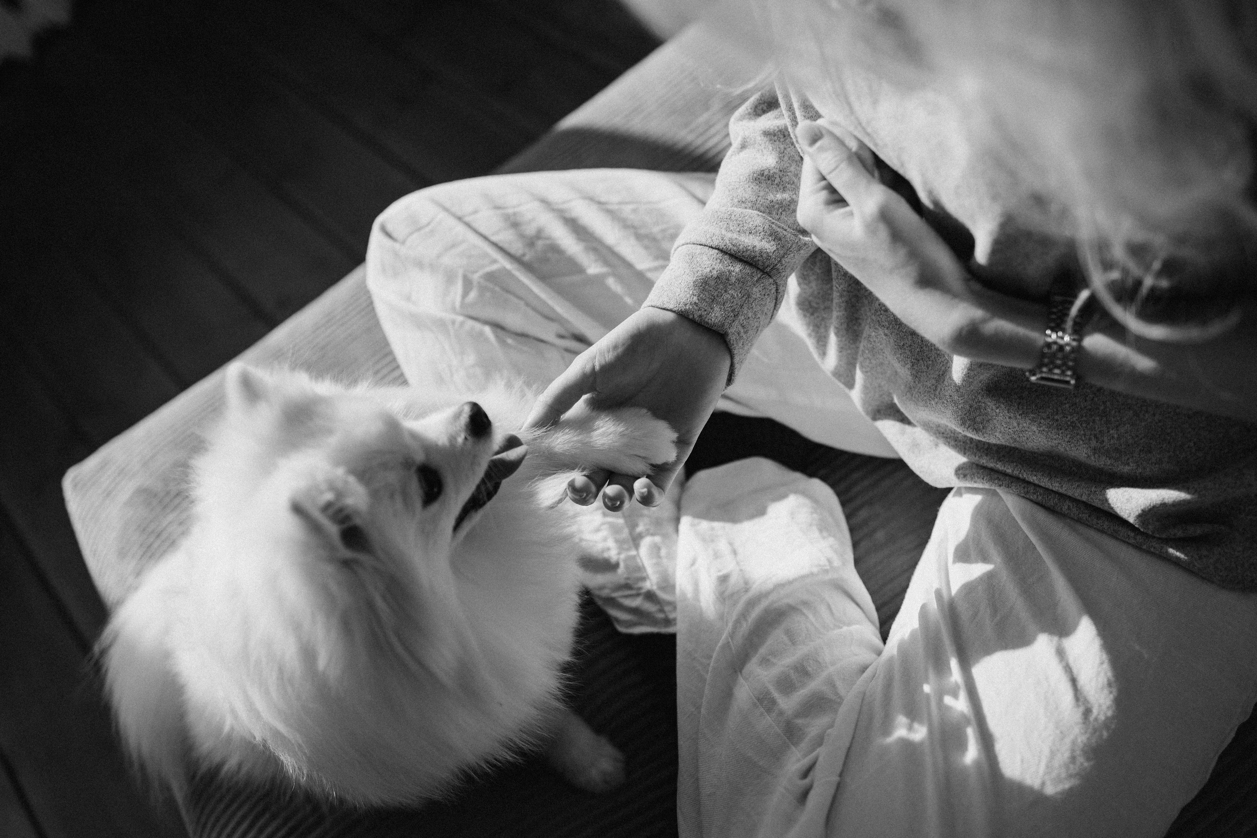 Джесси и ее семья. Фотограф — Анималист | Санкт-Петербург