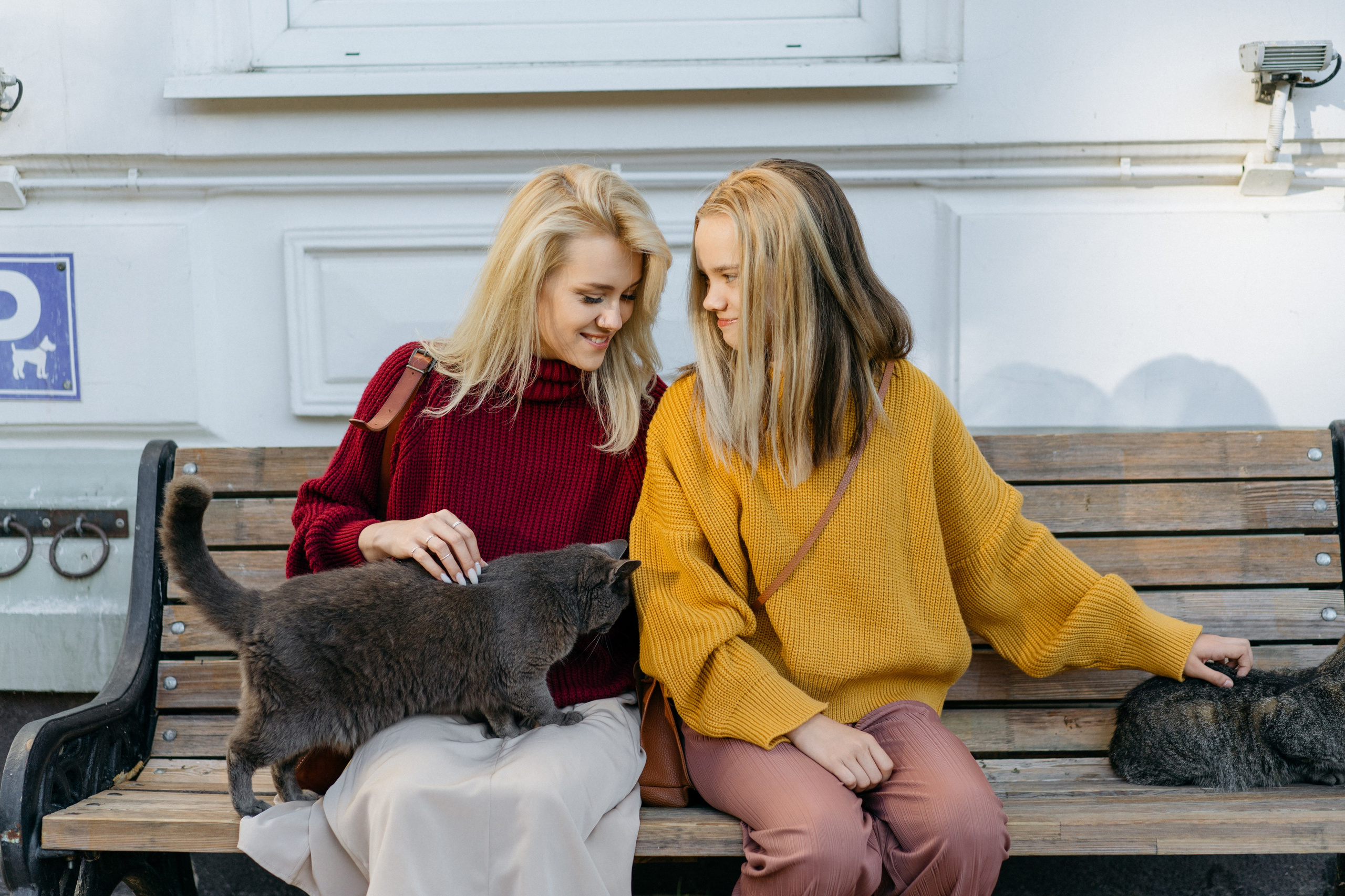 Зеленоградск. Свадебный и семейный фотограф в Калининграде Анастасия Гриценко