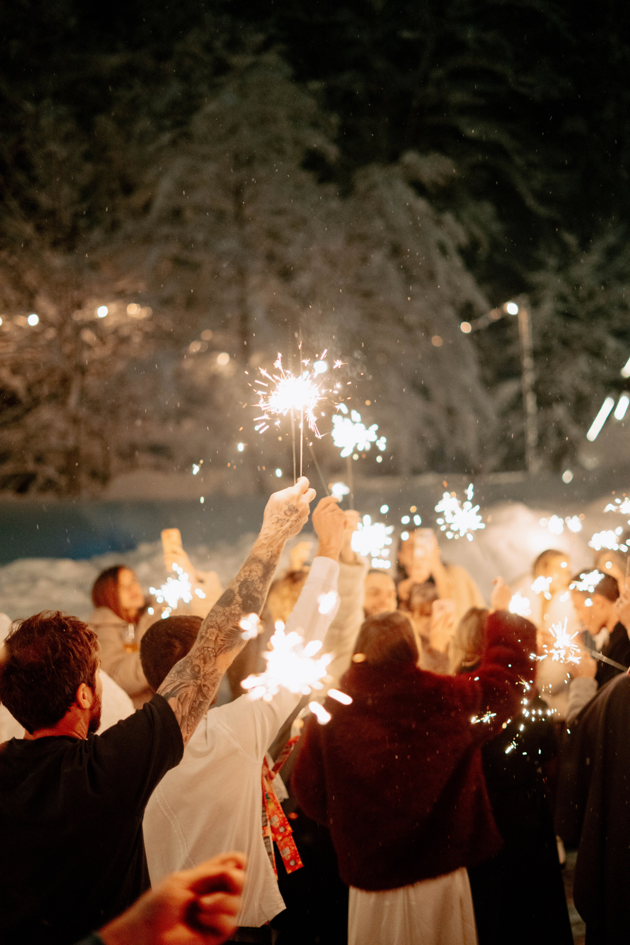 Pine River. New Year 2026. Емельянова Елена