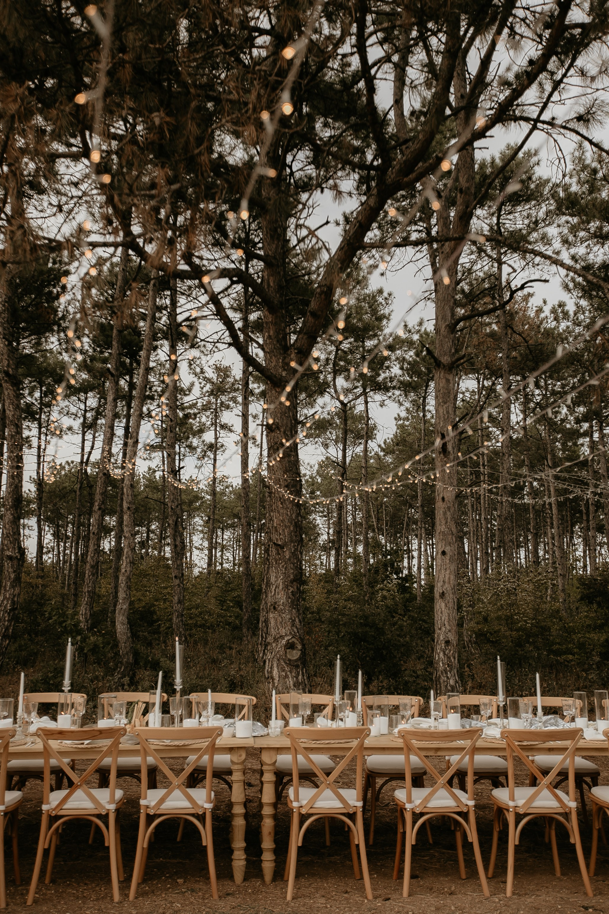 Wedding on winery. Свадебный фотограф в Севастополе и Крыму| Tanya Sher