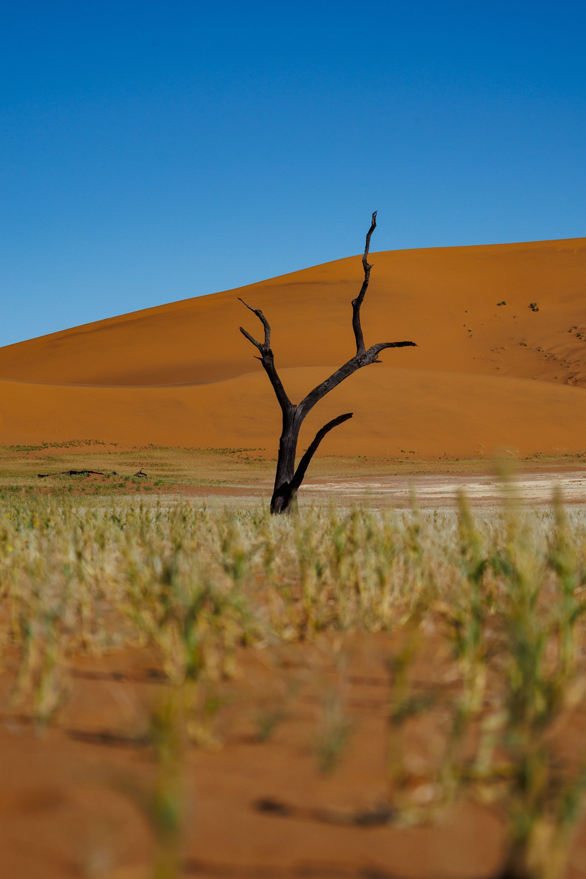 НАМИБИЯ. Роадтрип