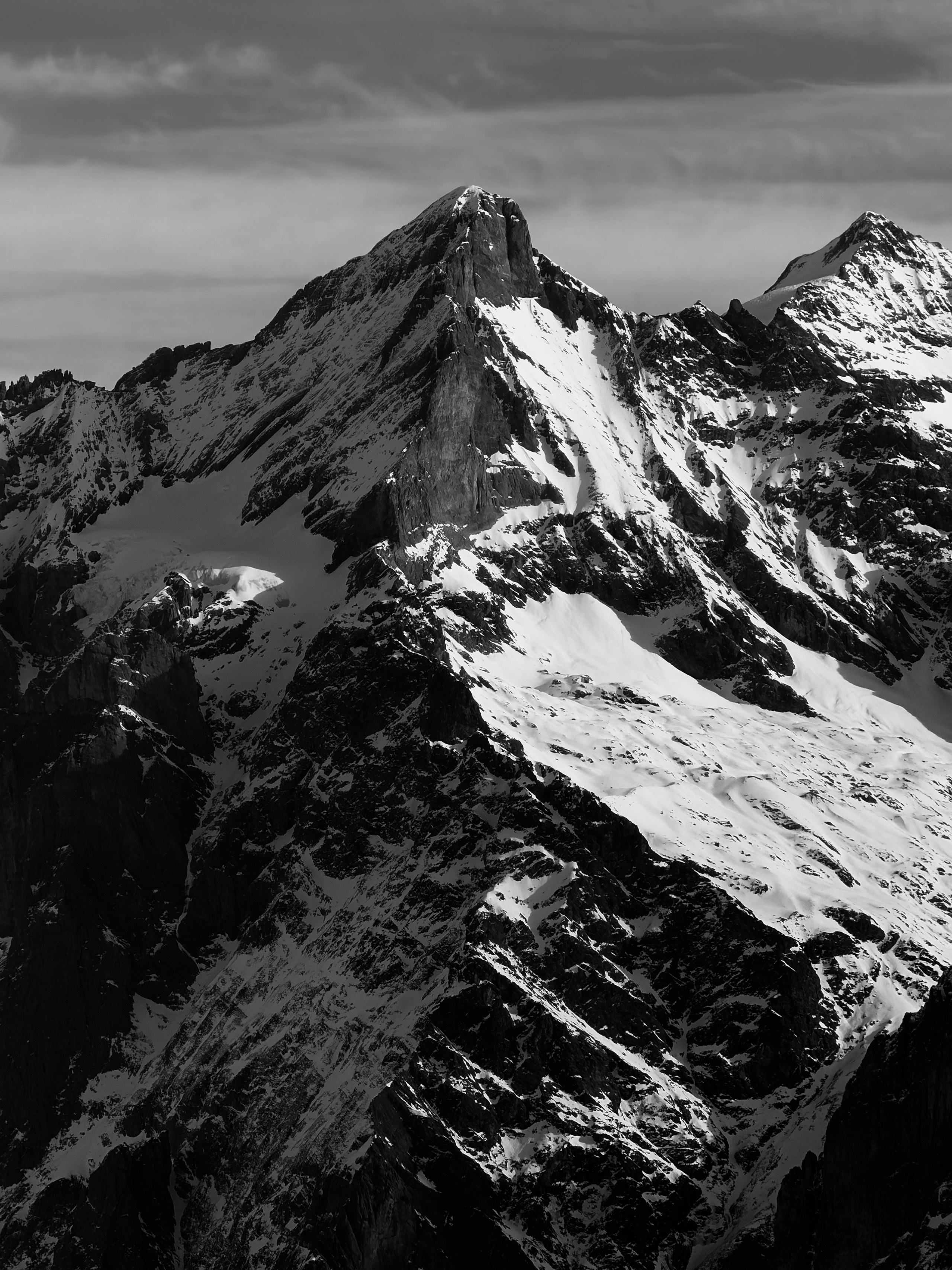 Grindelwald. Фотограф в Москве