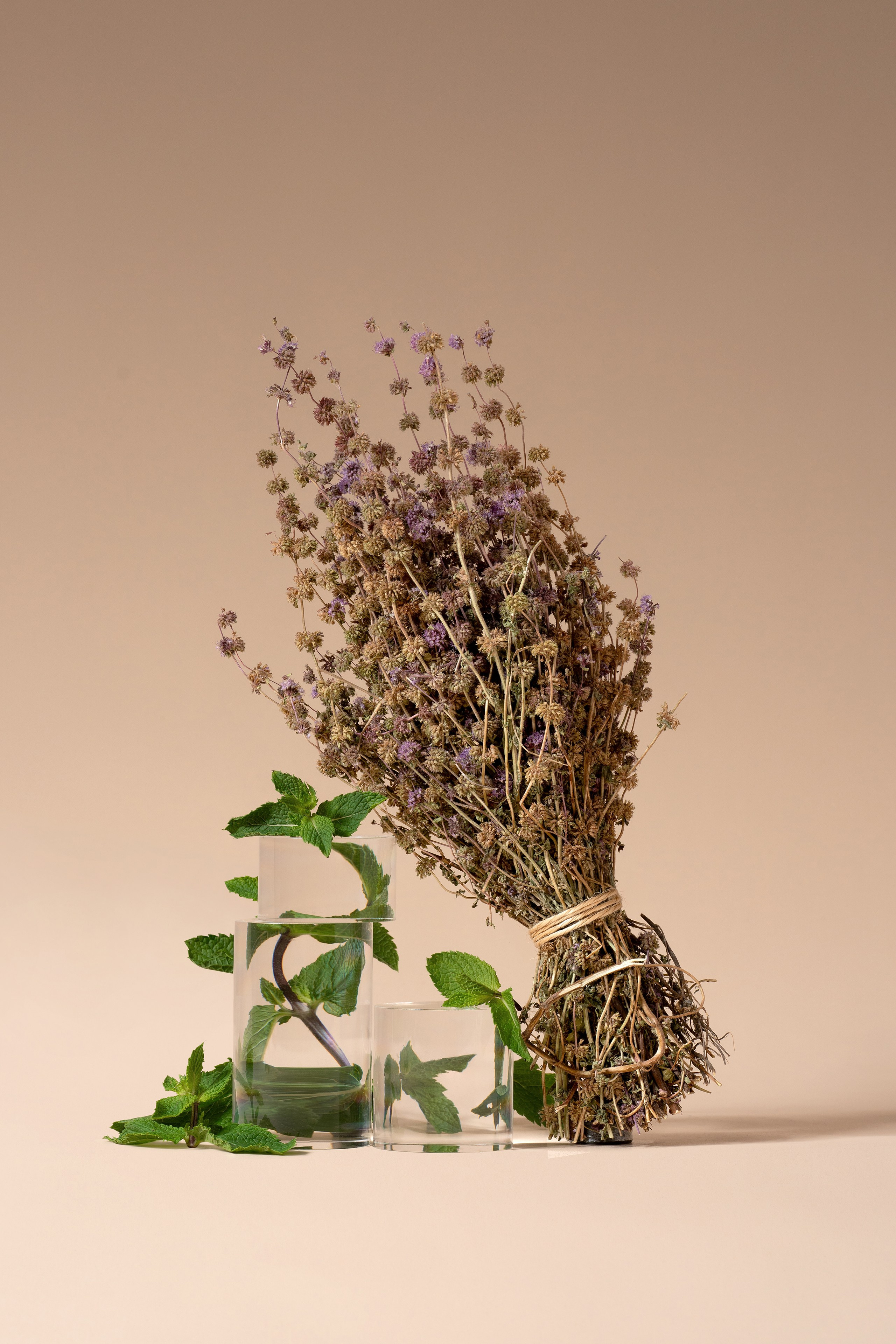 Флористика. Оксана Ильенко. Предметный фотограф и сет-дизайнер, Санкт-Петербург