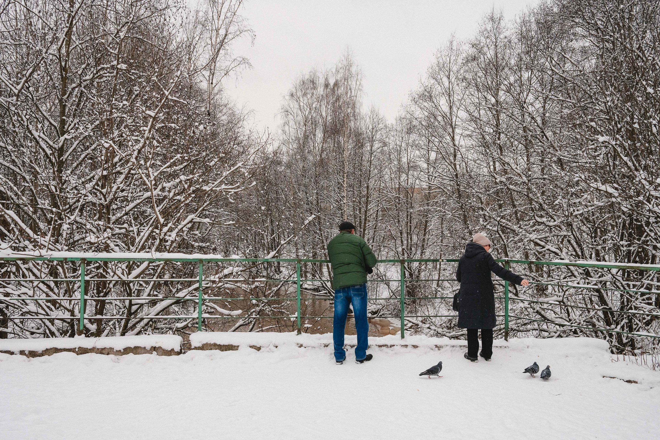 2023.01. Фотограф Алексей Алексеев
