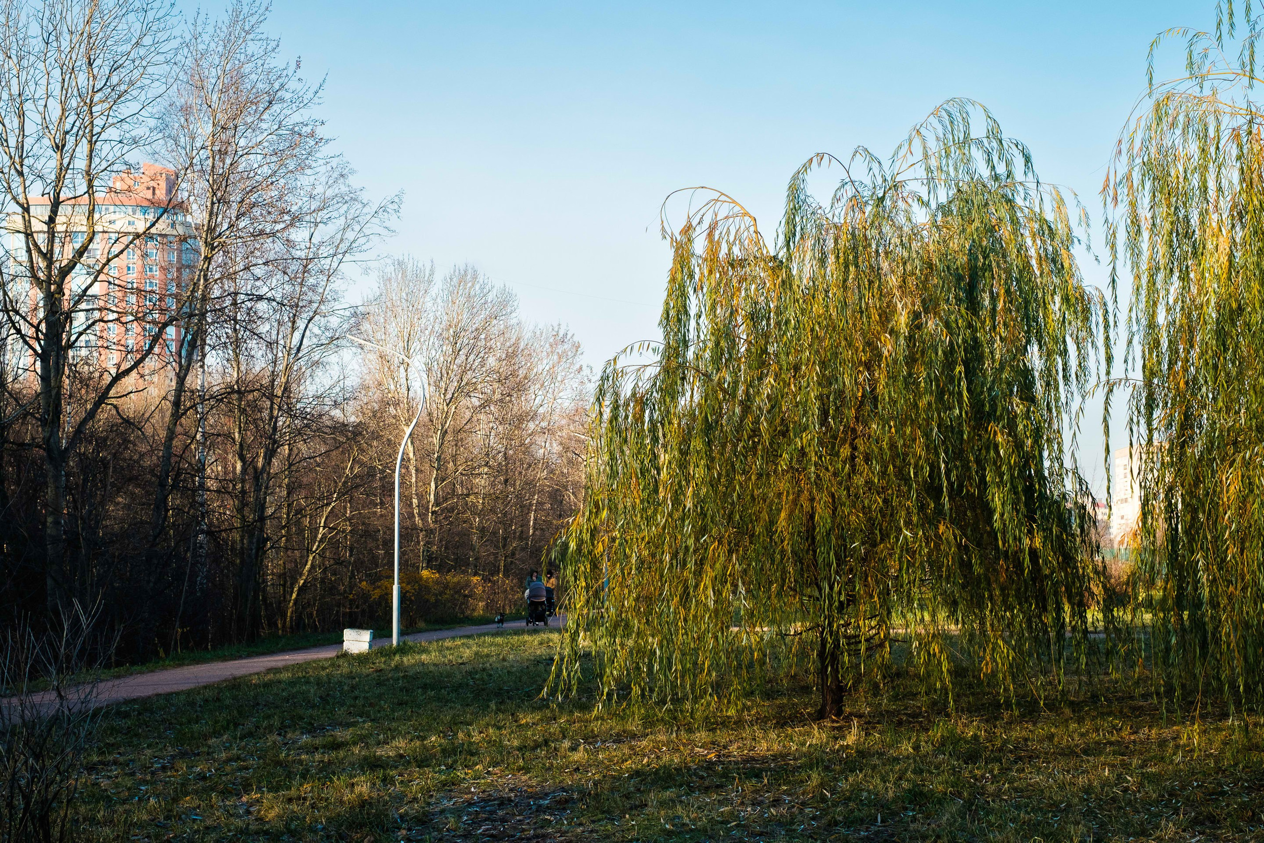 2021.11. Фотограф Алексей Алексеев