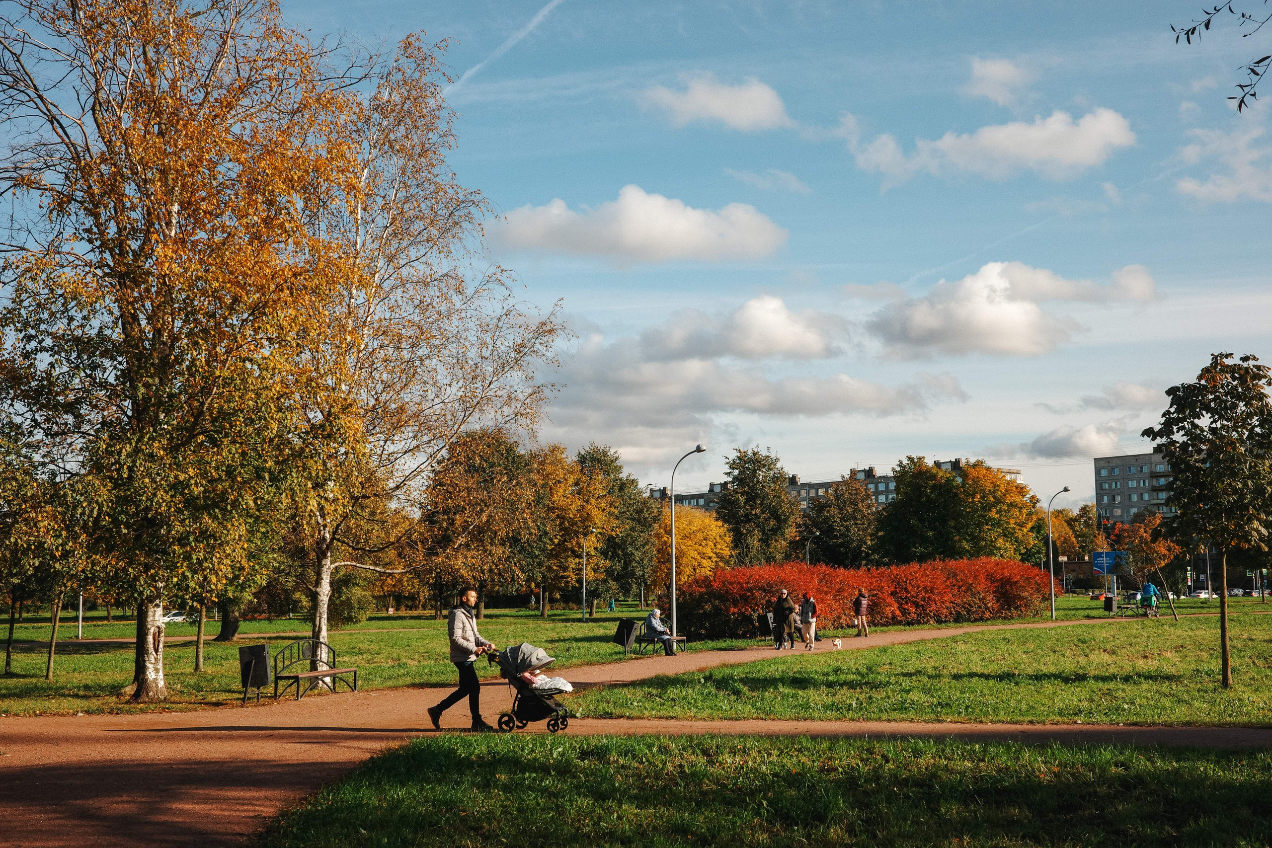 2024.10. Фотограф Алексей Алексеев