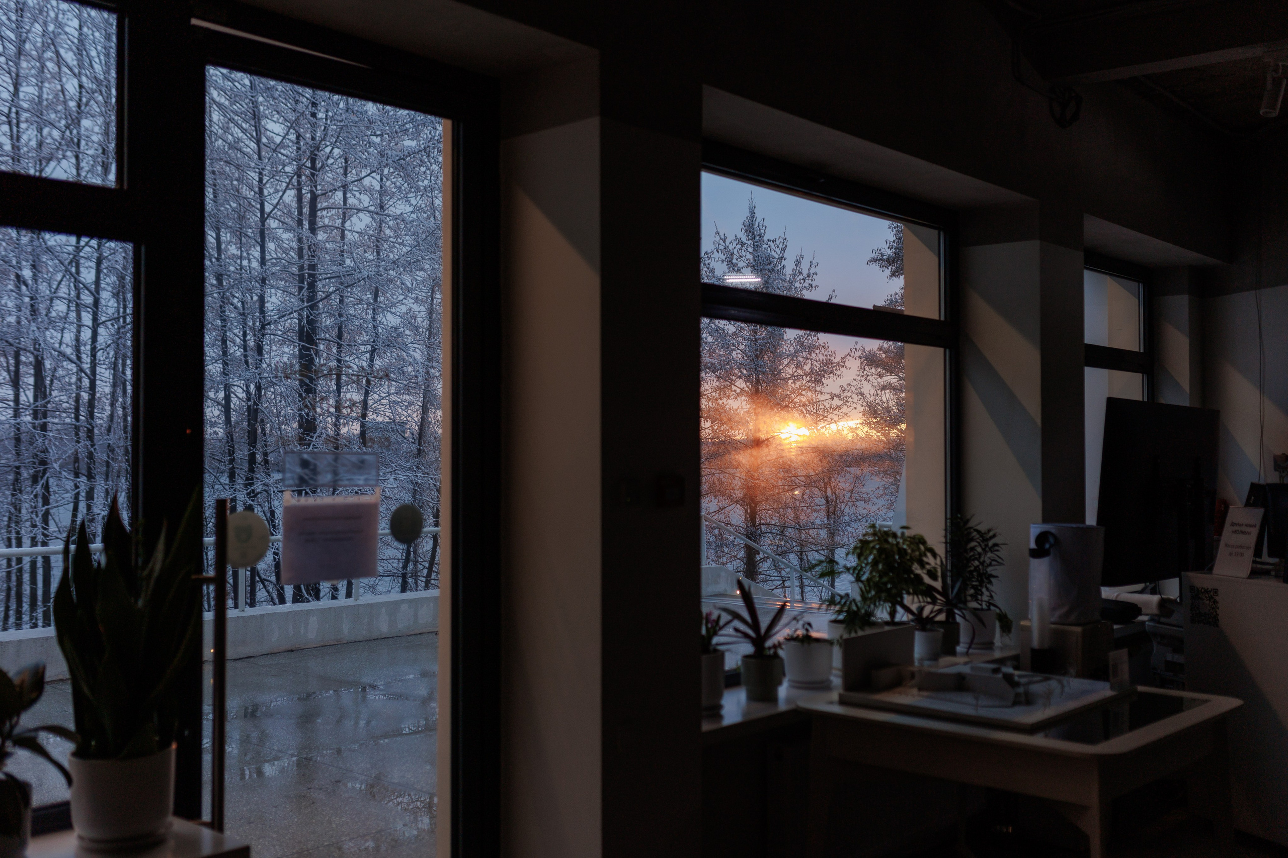 Это тебе. Фотограф городских и семейных событий Артем Карпухин