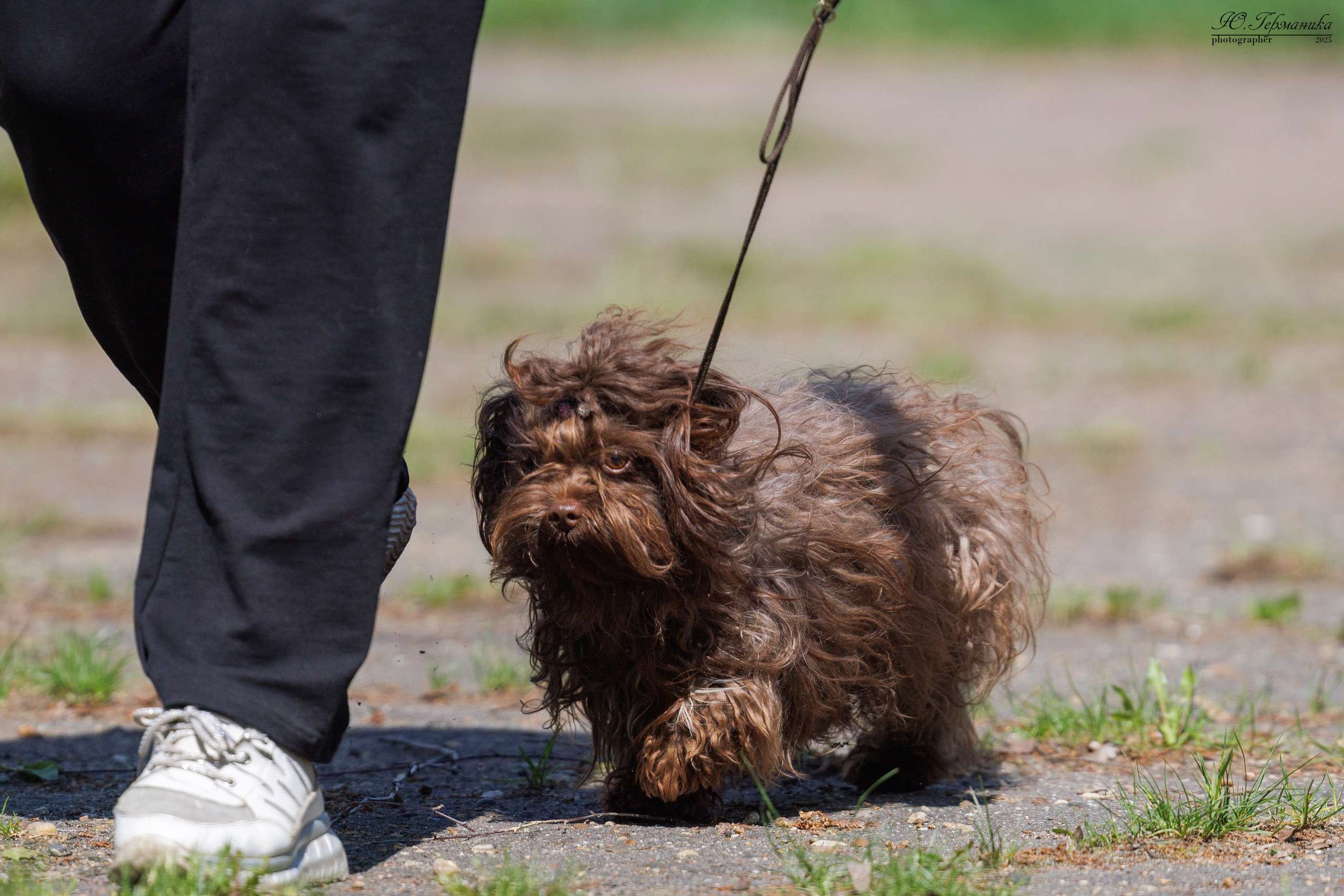 Тверь 24.05.2025. Фотограф-анималист Юлия Германика