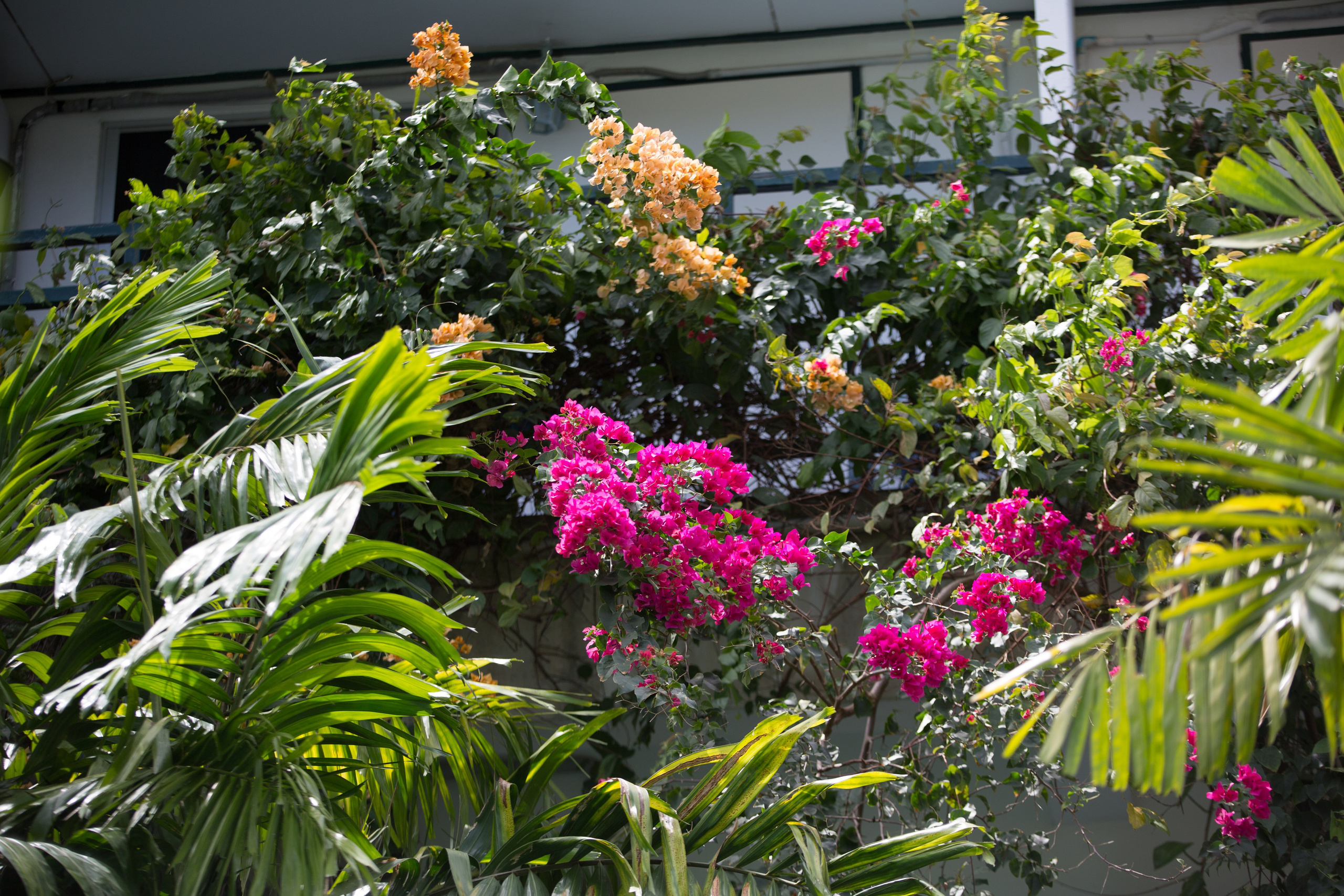 Фото Тайланда. Студия Максима Белослюдцева