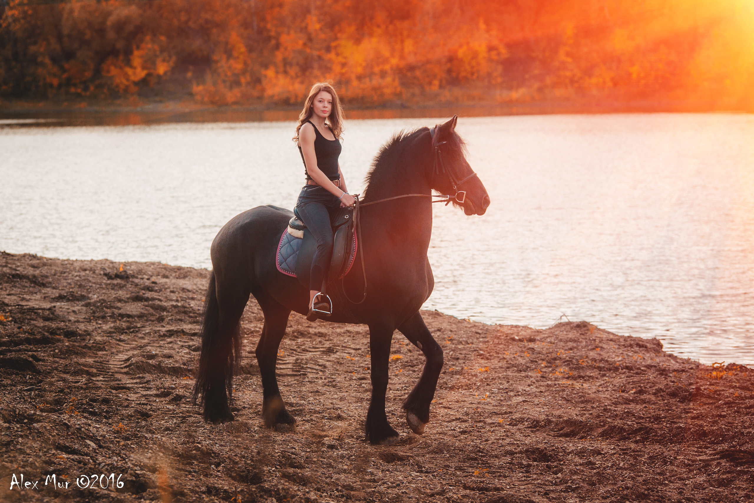 Фотосессии на лошадях Уфа, Фотосессии с лошадью, свадебная фотосессия Уфа, свадебный фотограф Уфа, Фотограф Уфа, Уфа фото, фотограф Алексей Муравьёв  +7 917 45 49 816