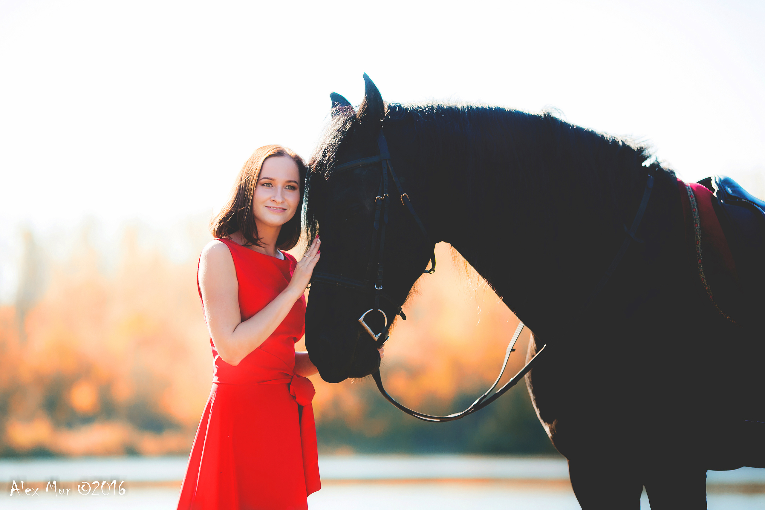 Фотосессии на лошадях Уфа, Фотосессии с лошадью, свадебная фотосессия Уфа, свадебный фотограф Уфа, Фотограф Уфа, Уфа фото, фотограф Алексей Муравьёв  +7 917 45 49 816