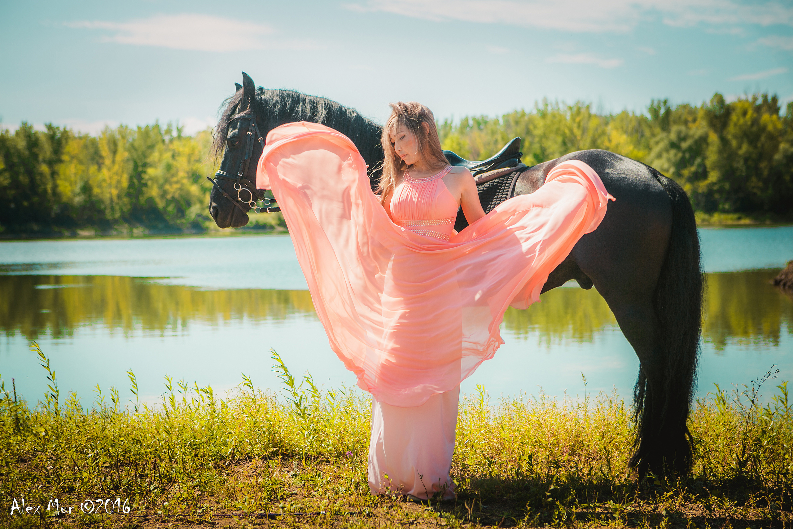 Фотосессии на лошадях Уфа, Фотосессии с лошадью, свадебная фотосессия Уфа, свадебный фотограф Уфа, Фотограф Уфа, Уфа фото, фотограф Алексей Муравьёв  +7 917 45 49 816