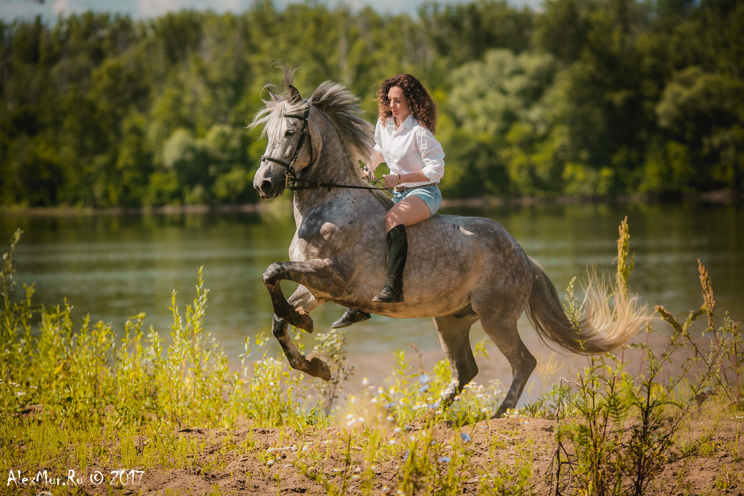 Фотосессии на лошадях Уфа, Фотосессии с лошадью, свадебная фотосессия Уфа, свадебный фотограф Уфа, Фотограф Уфа, Уфа фото, фотограф Алексей Муравьёв  +7 917 45 49 816
