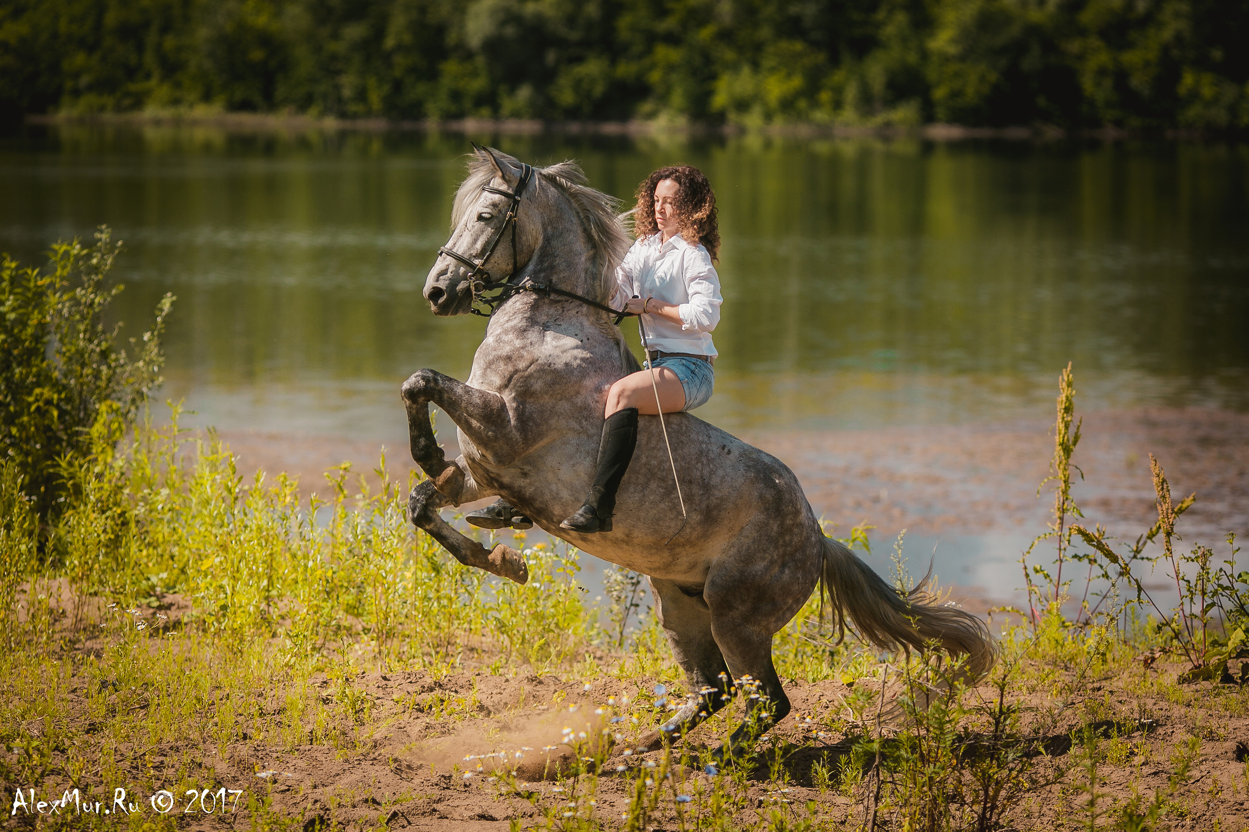 Фотосессии на лошадях Уфа, Фотосессии с лошадью, свадебная фотосессия Уфа, свадебный фотограф Уфа, Фотограф Уфа, Уфа фото, фотограф Алексей Муравьёв  +7 917 45 49 816