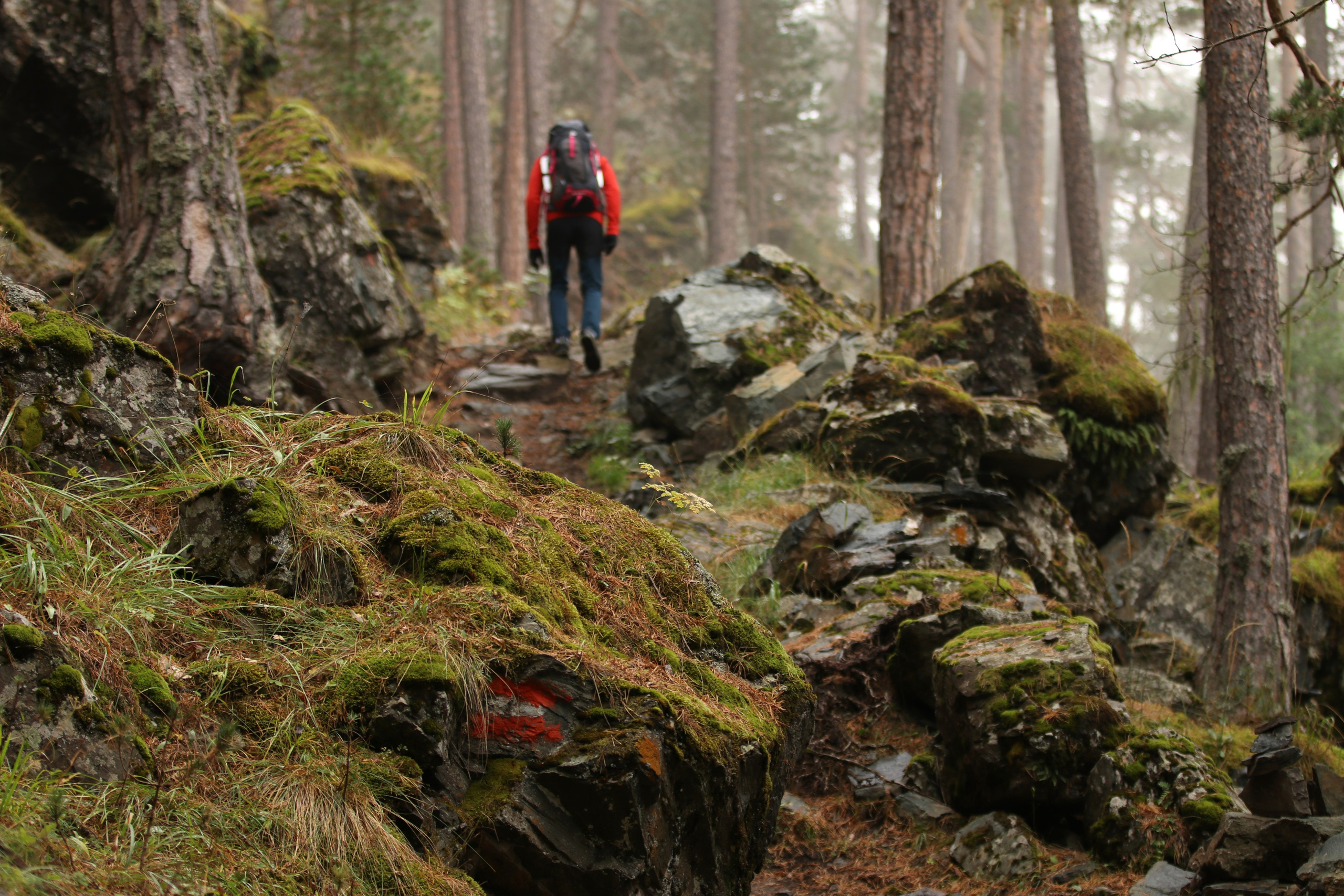 Приэльбрусье. Сентябрь 2024. Путешественник-фотограф из Санкт-Петербурга Татьяна Свистулина