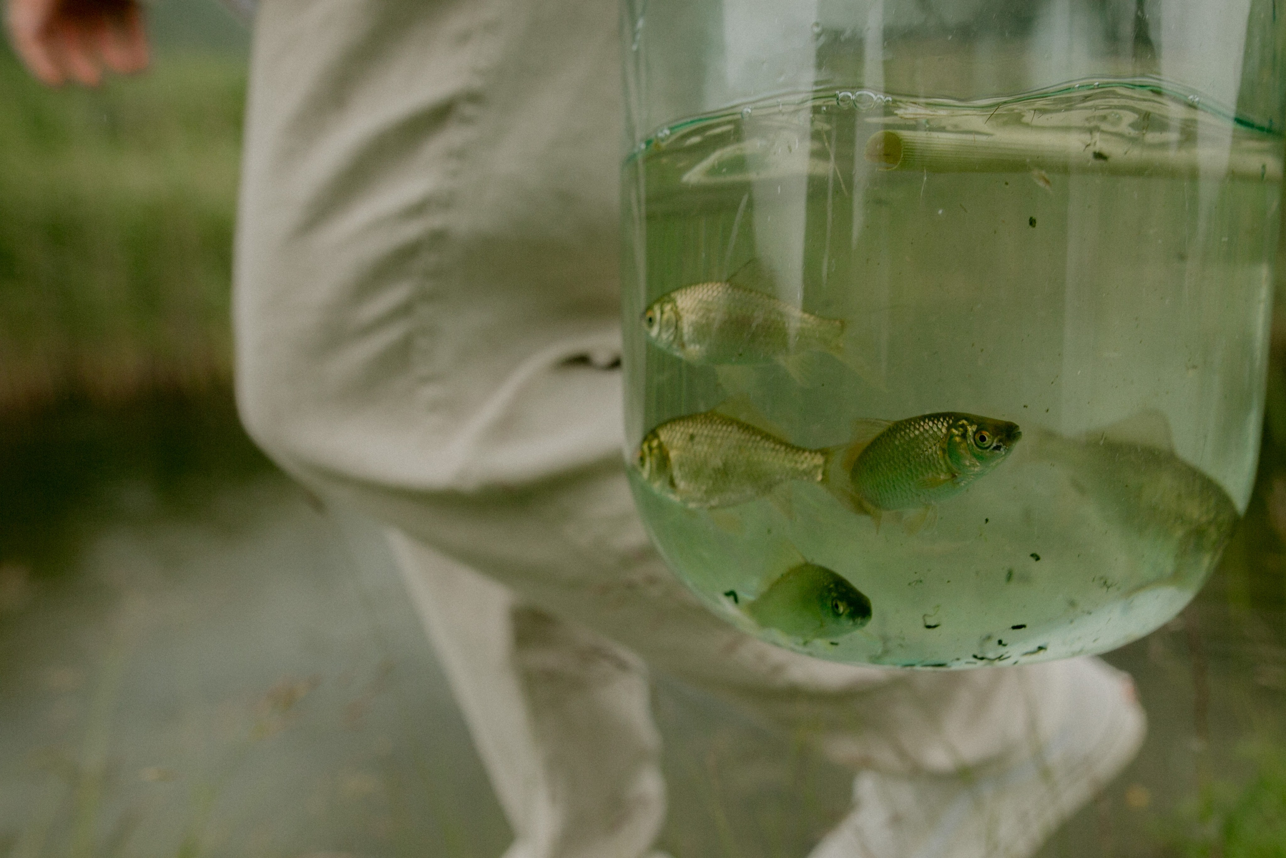 Nikita & Nastya. Wedding at Kazbeg. Свадебный фотограф Грузия Alex and Polly