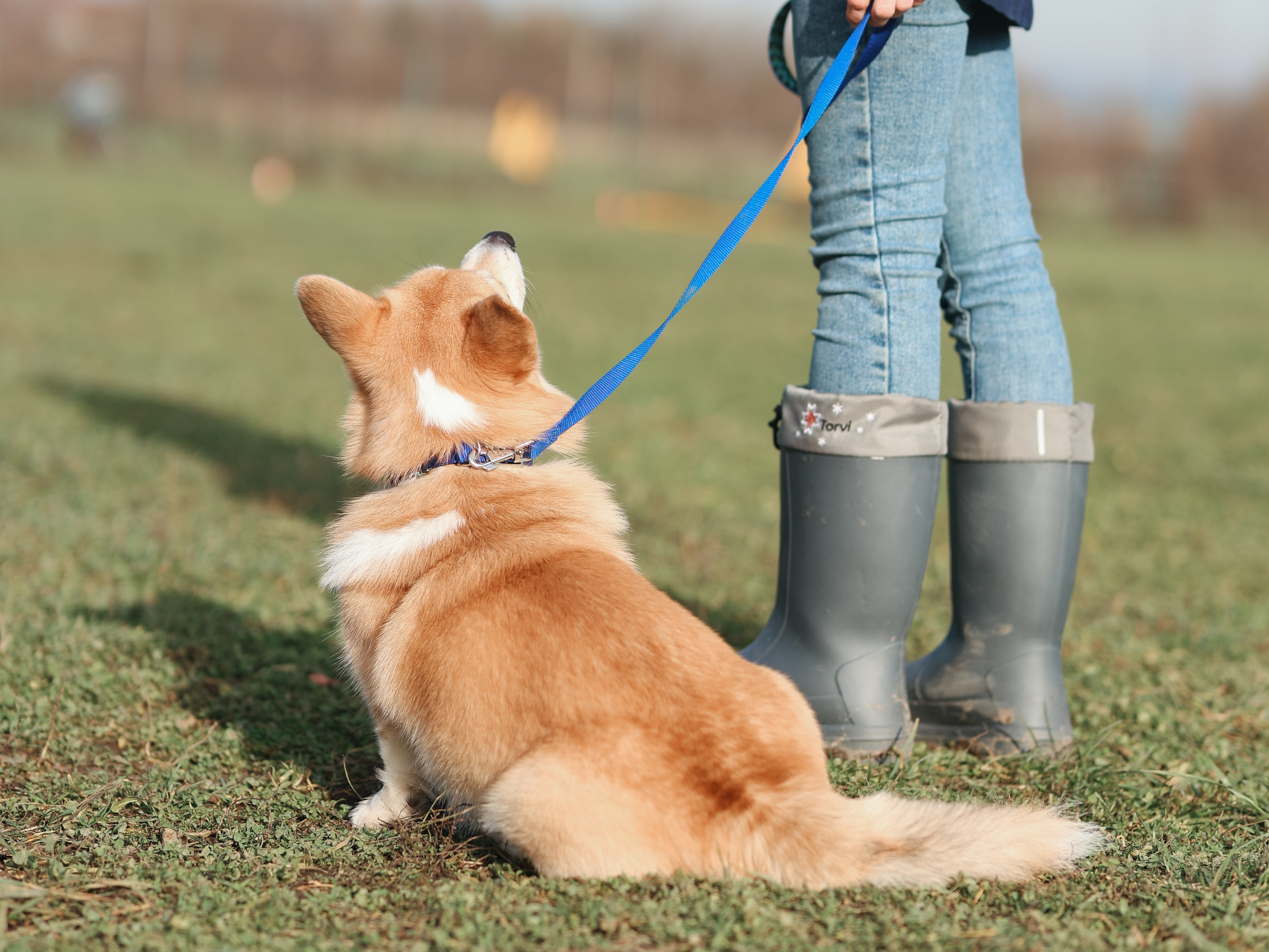 Соревнования BH. Фотограф-анималист в Москве Кириллова Татьяна