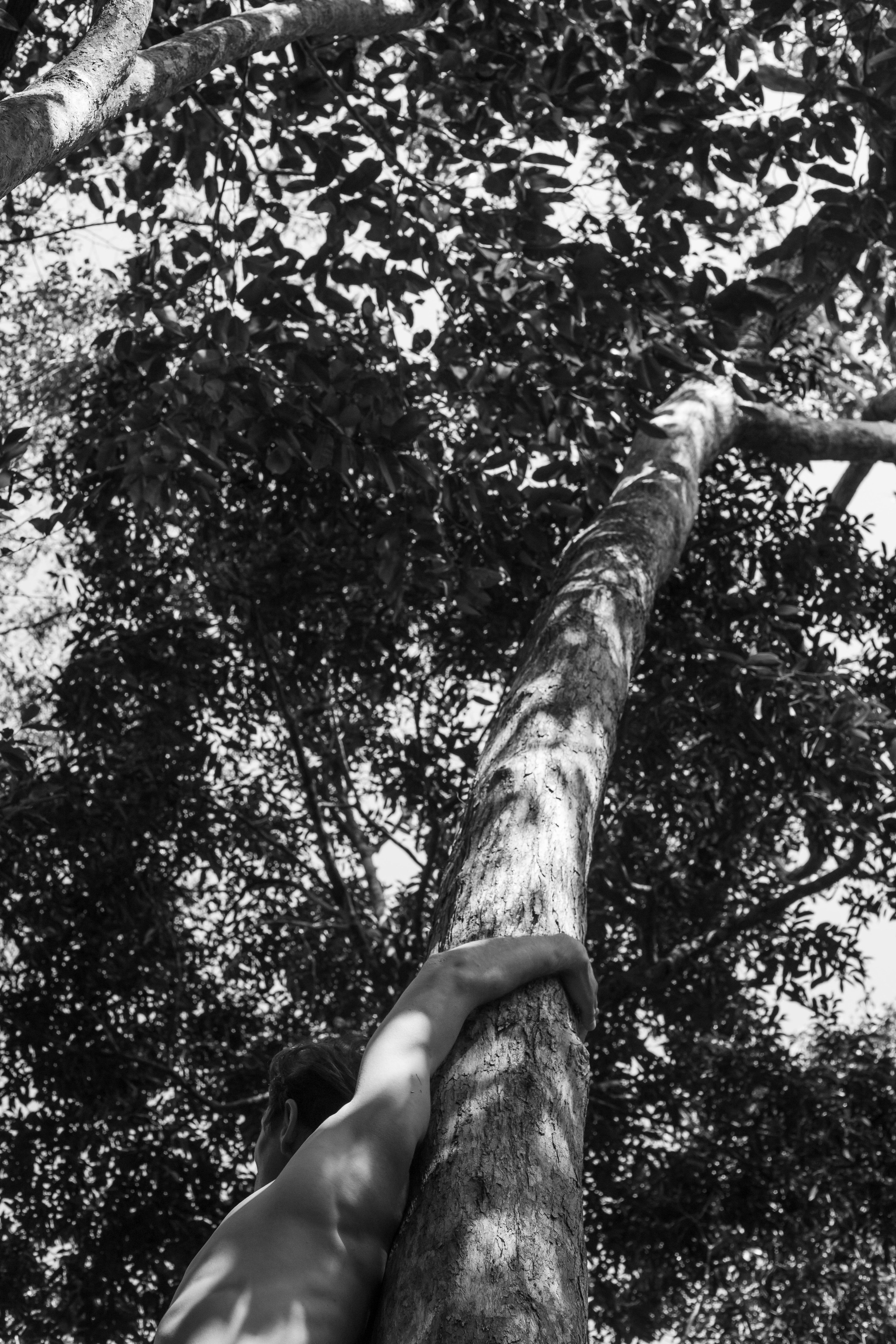 Портреты. Woobrajane фотосессии и фотоуроки