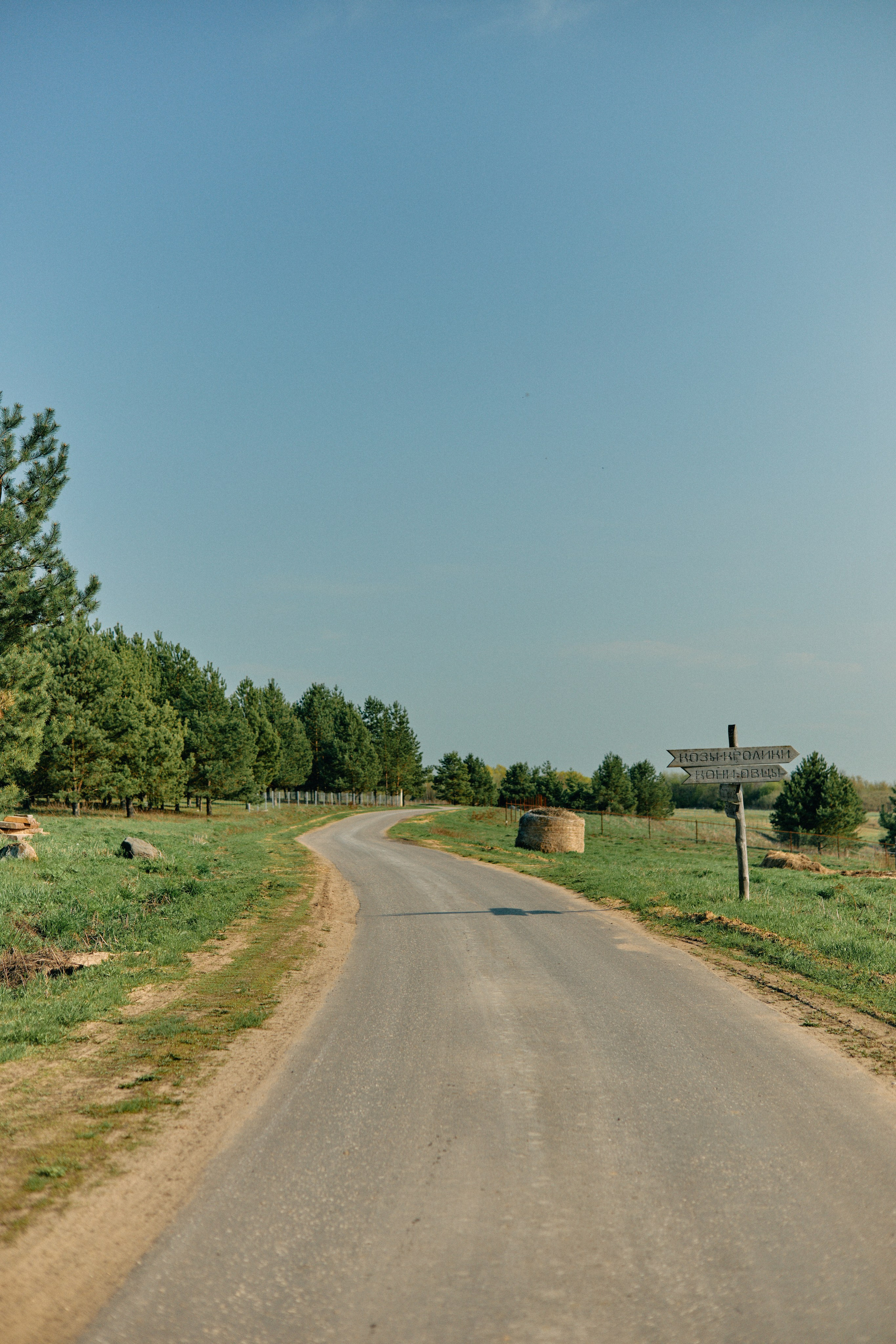 Бутик-отель Поле летом. Профессиональный Фотограф во Владимире, в Москве и в Суздале — Полина Романычева