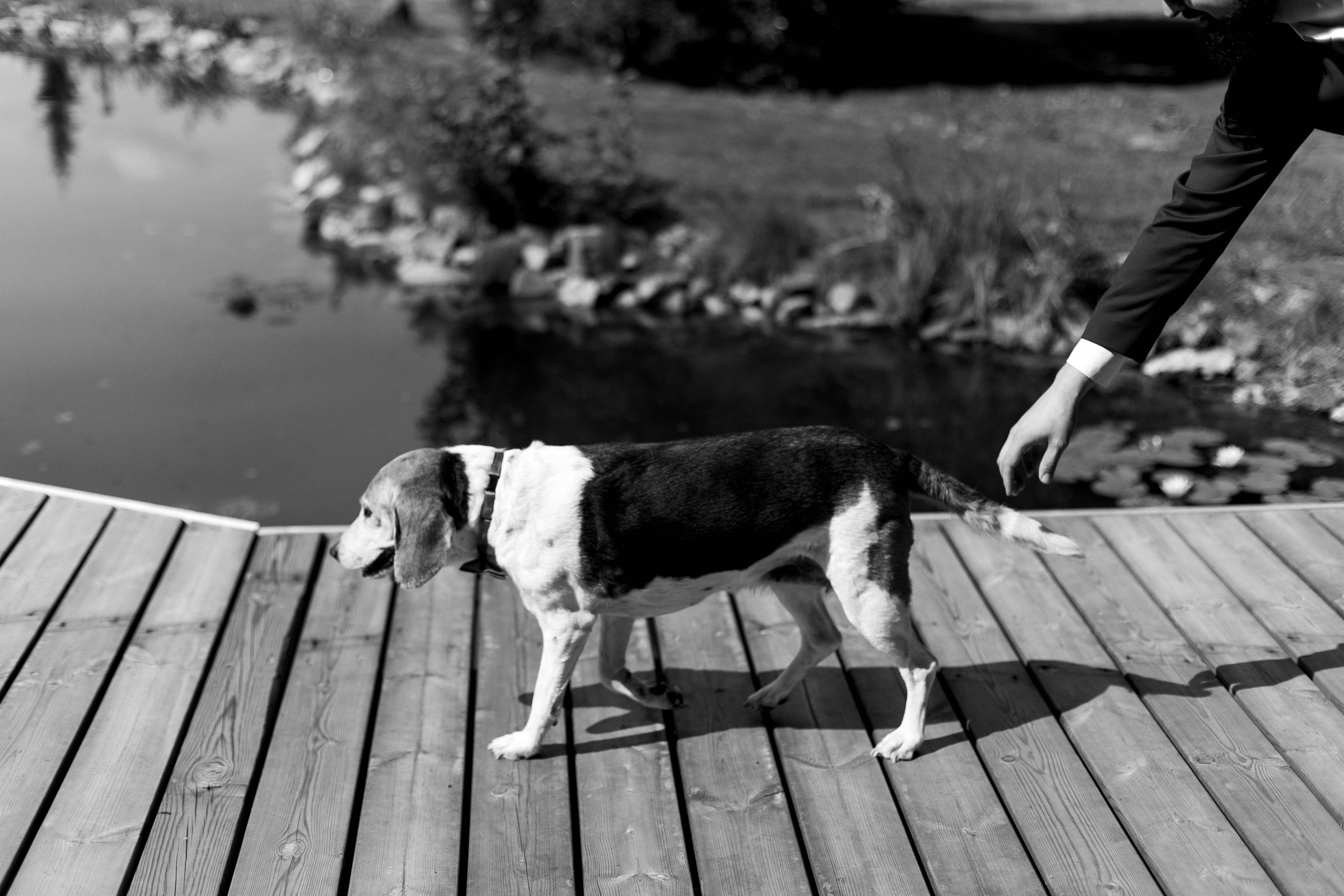 Букетик черники. Майя Алиева Свадебный фотограф в Санкт-Петербурге