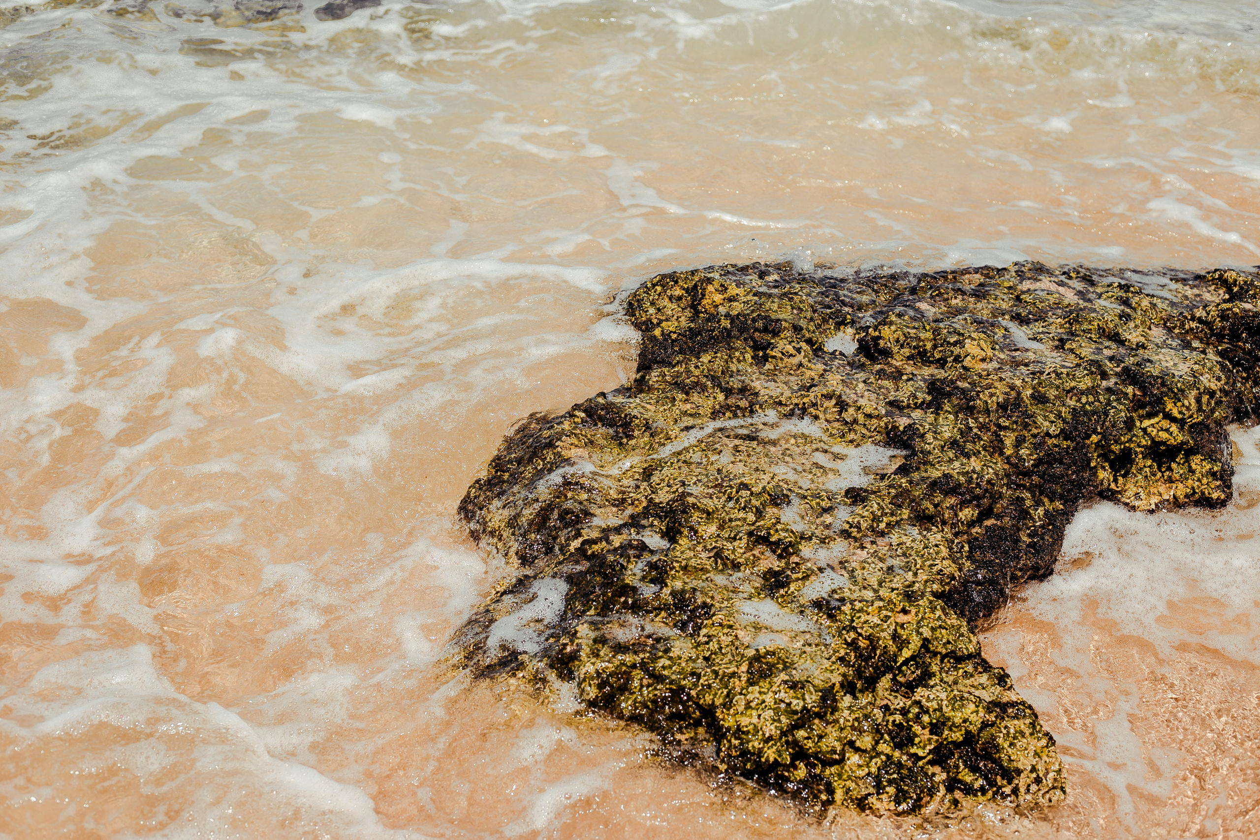 Sri Lanka. Art Photographer