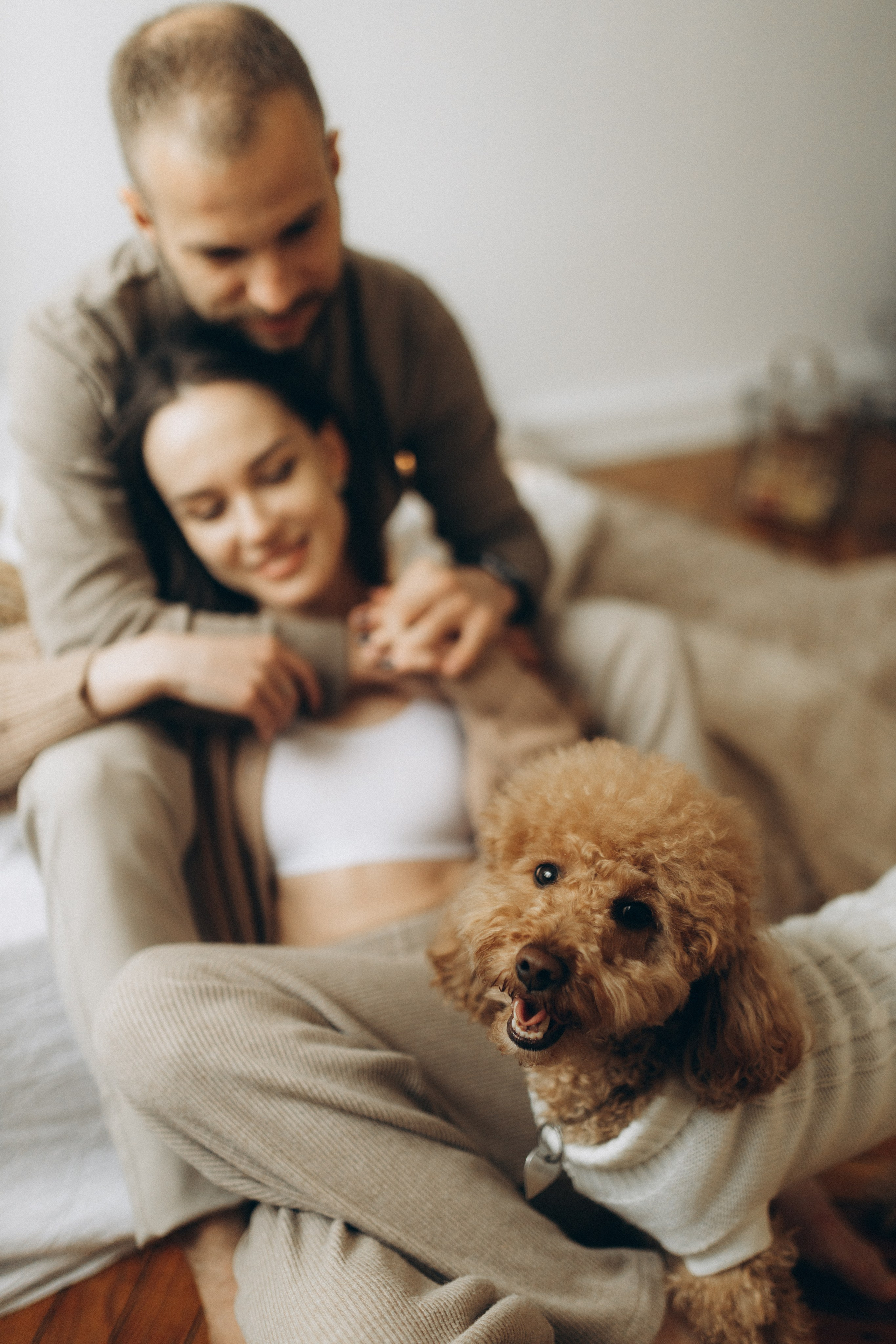 Маша, Ваня & Барни. Фотограф НОГИНСК, Москва, Анастасия Белая