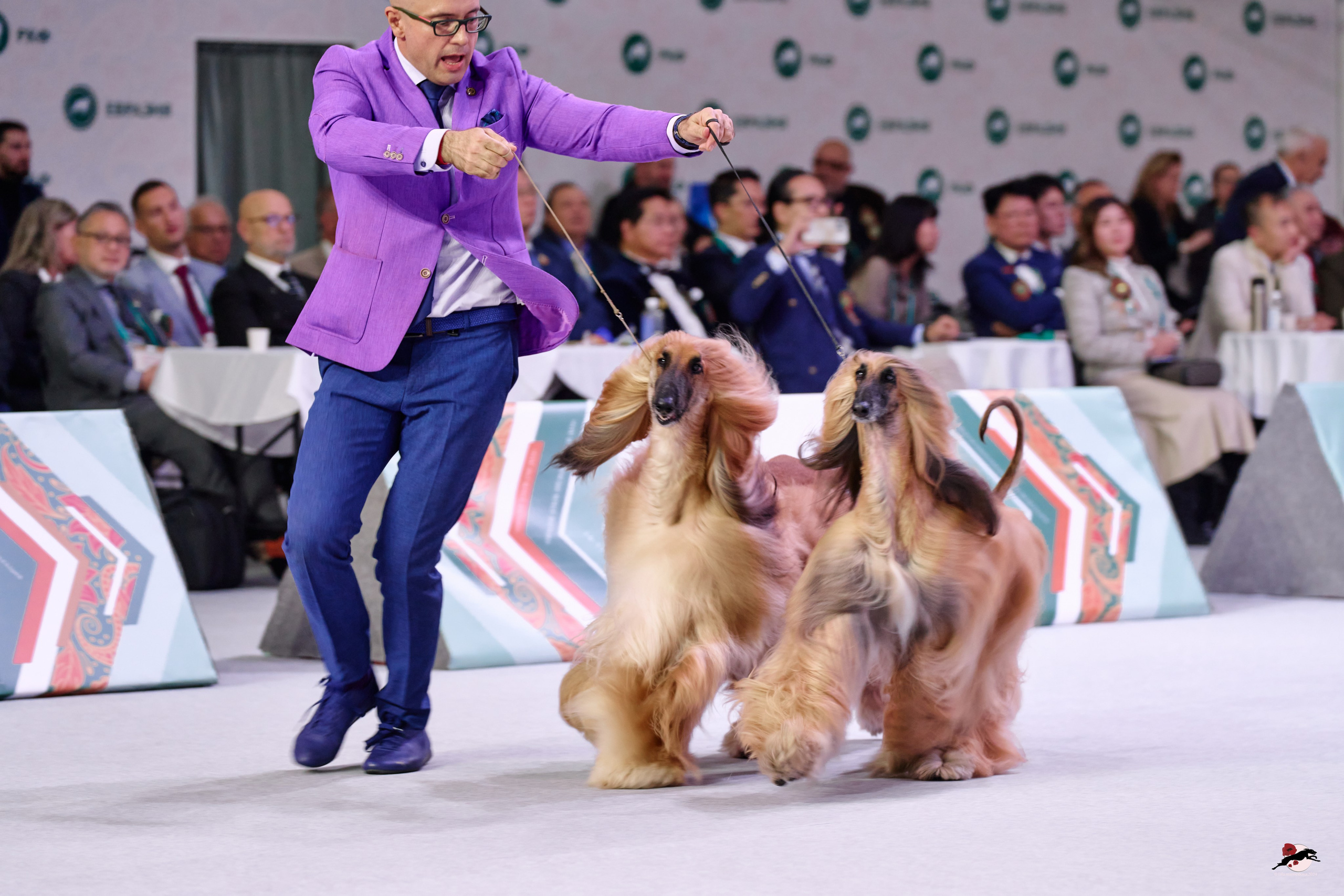 16.11.2024 «ЕВРАЗИЯ. КУБОК ПРЕЗИДЕНТА РКФ 2024»