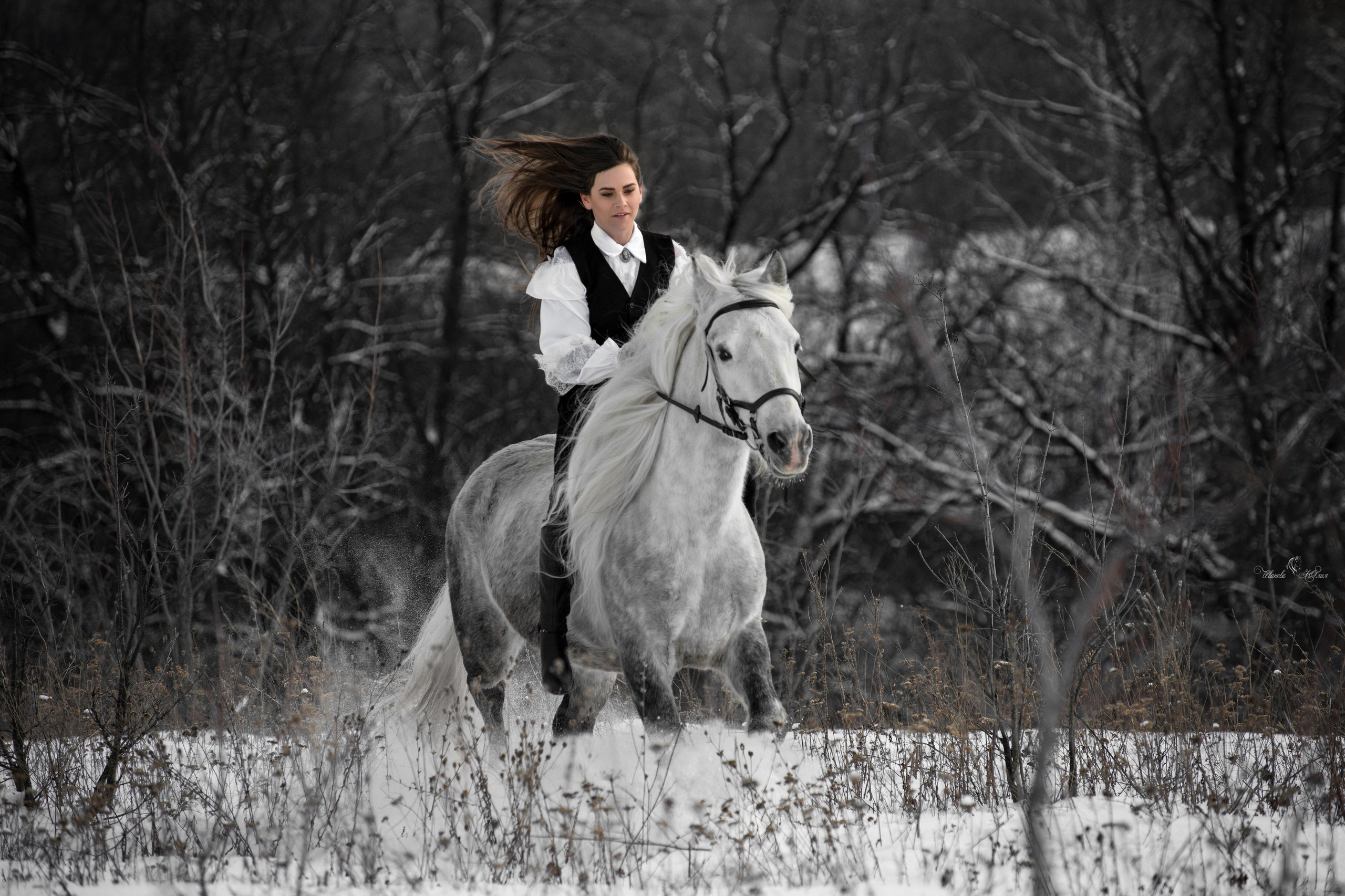 Маша и Вымпел. Конный фотограф в Саратове Юлия Иванова