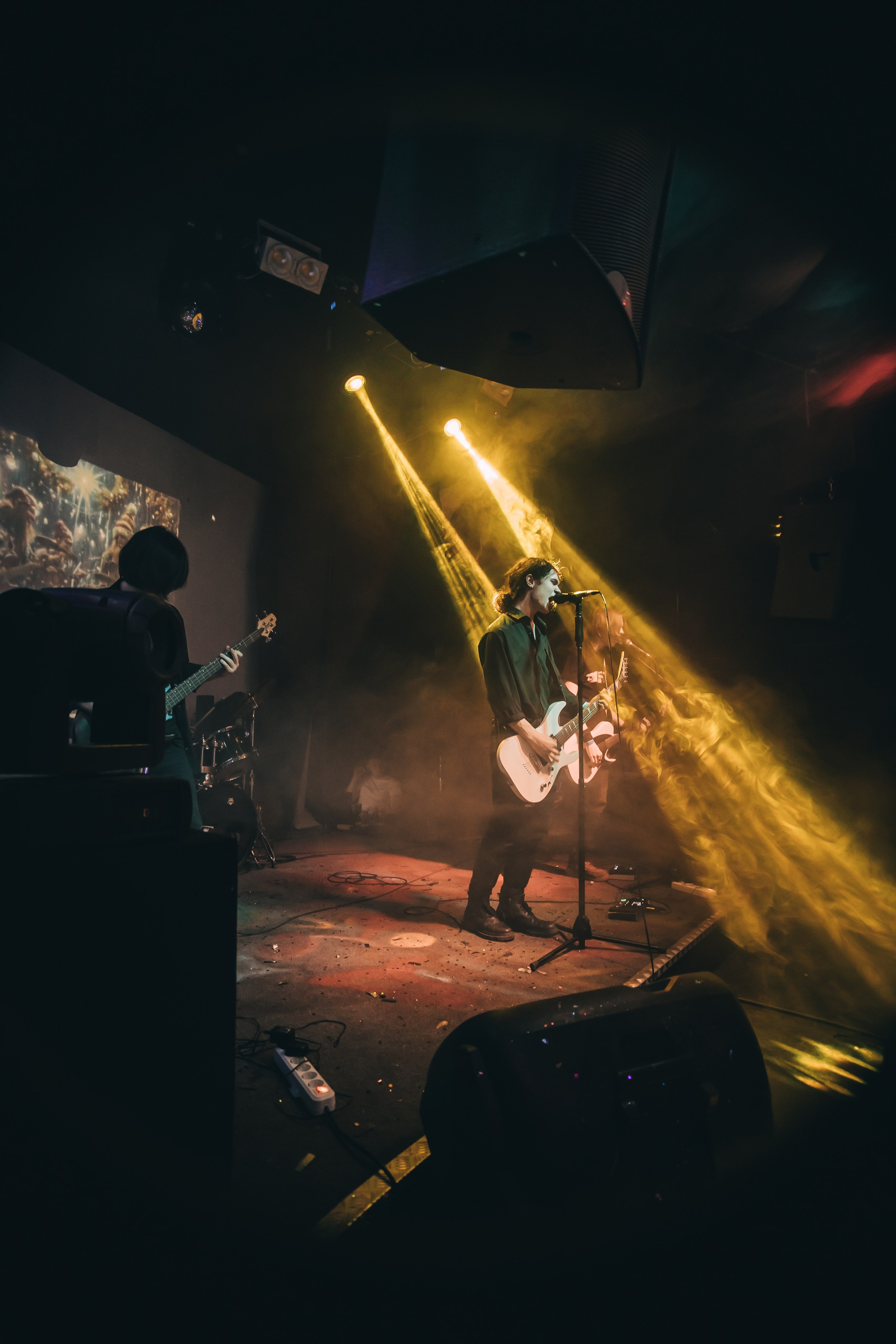 Rose park. Рок-опохмелки, клуб-галерея Эрмитаж. 06.01.2025. Фотограф Регина Крикунова г. Красноярск