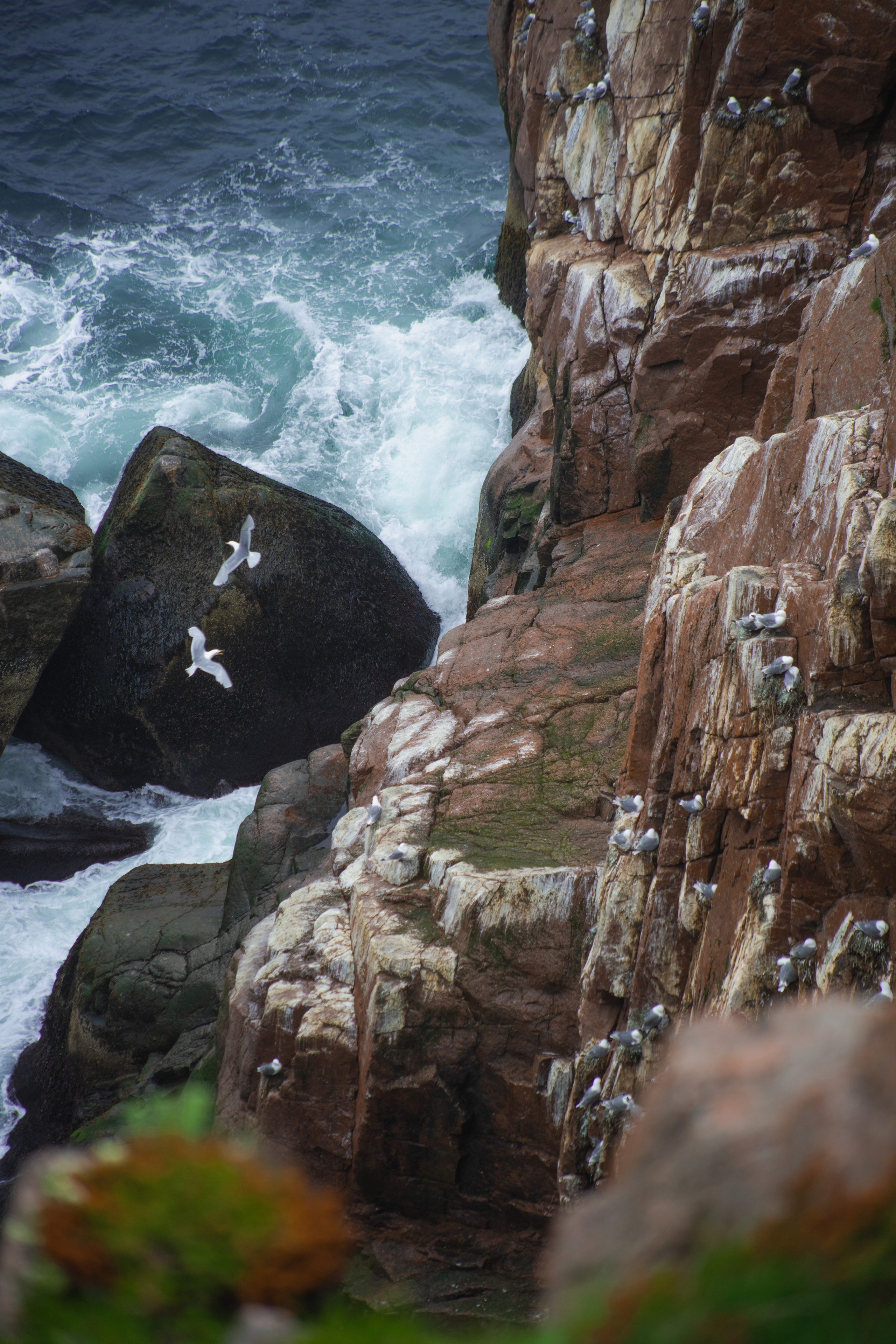 World. Фотограф в Санкт-Петербурге