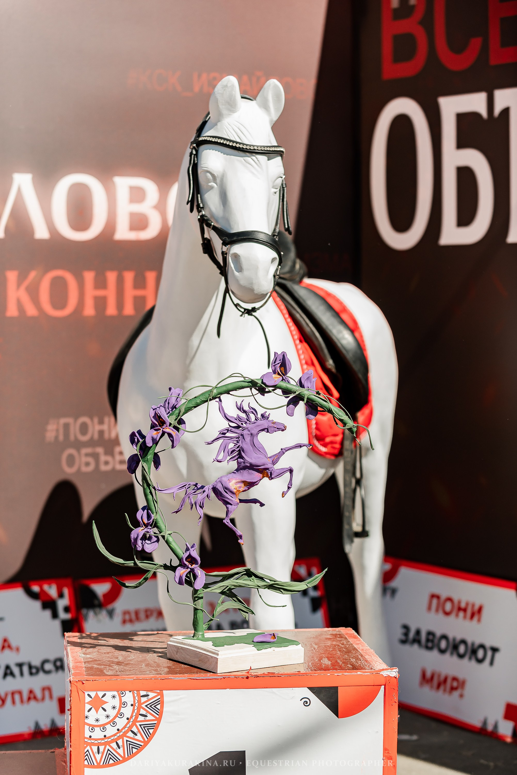 #ПОНИФОРУМ 2024. Конный фотограф Куракина Дарья • Фотосессии с лошадьми