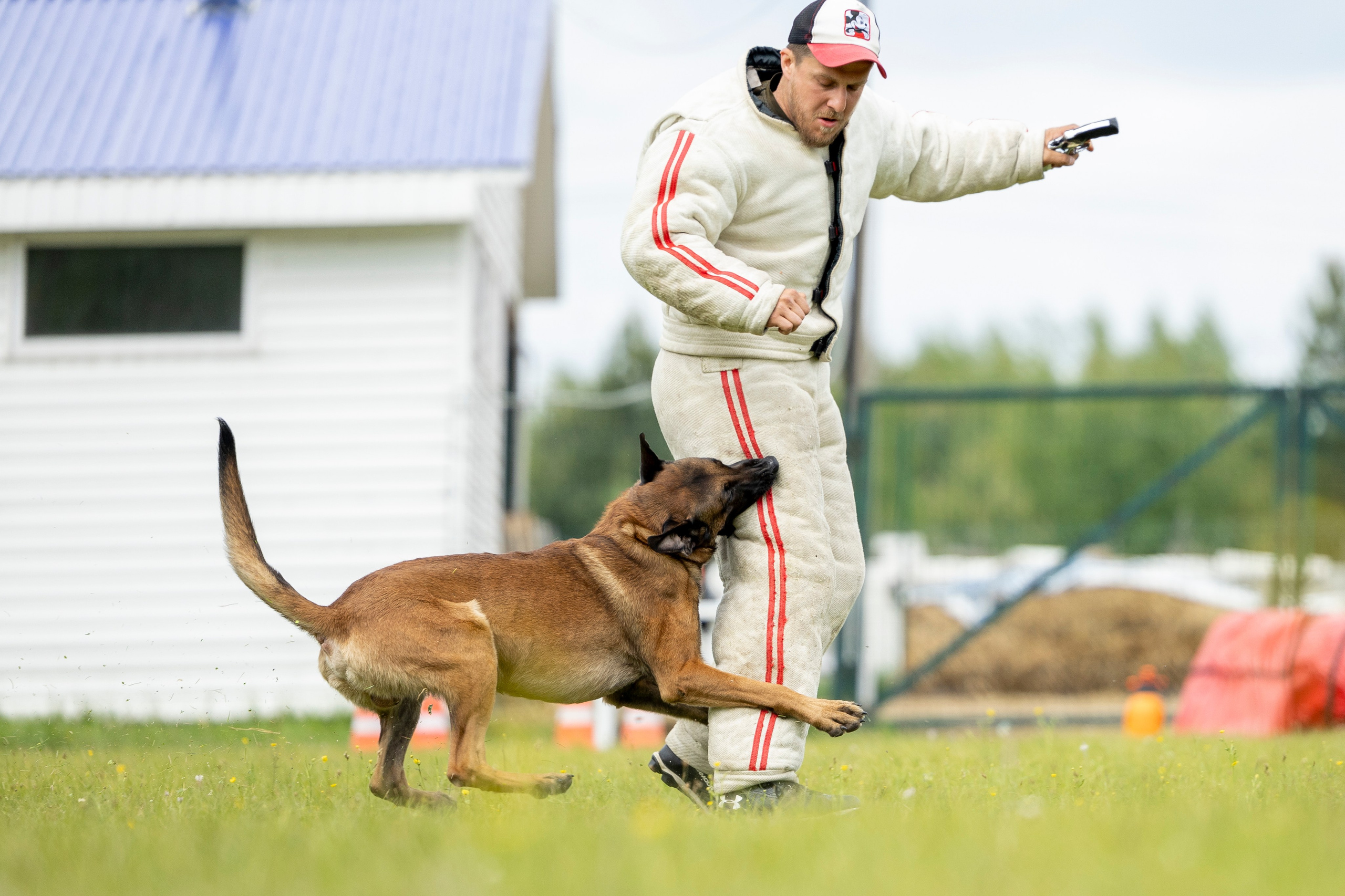 Испытания по мондьорингу в Нижнем Новгороде. Фотограф-анималист Анна Маринич