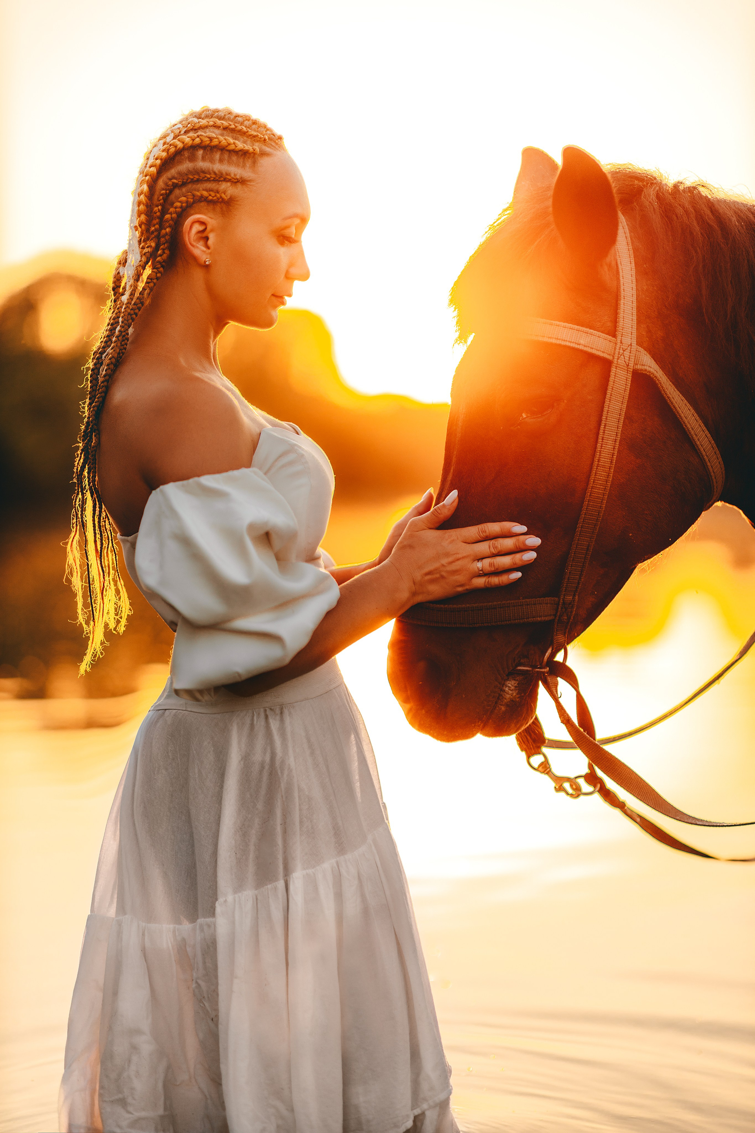 Закатная история