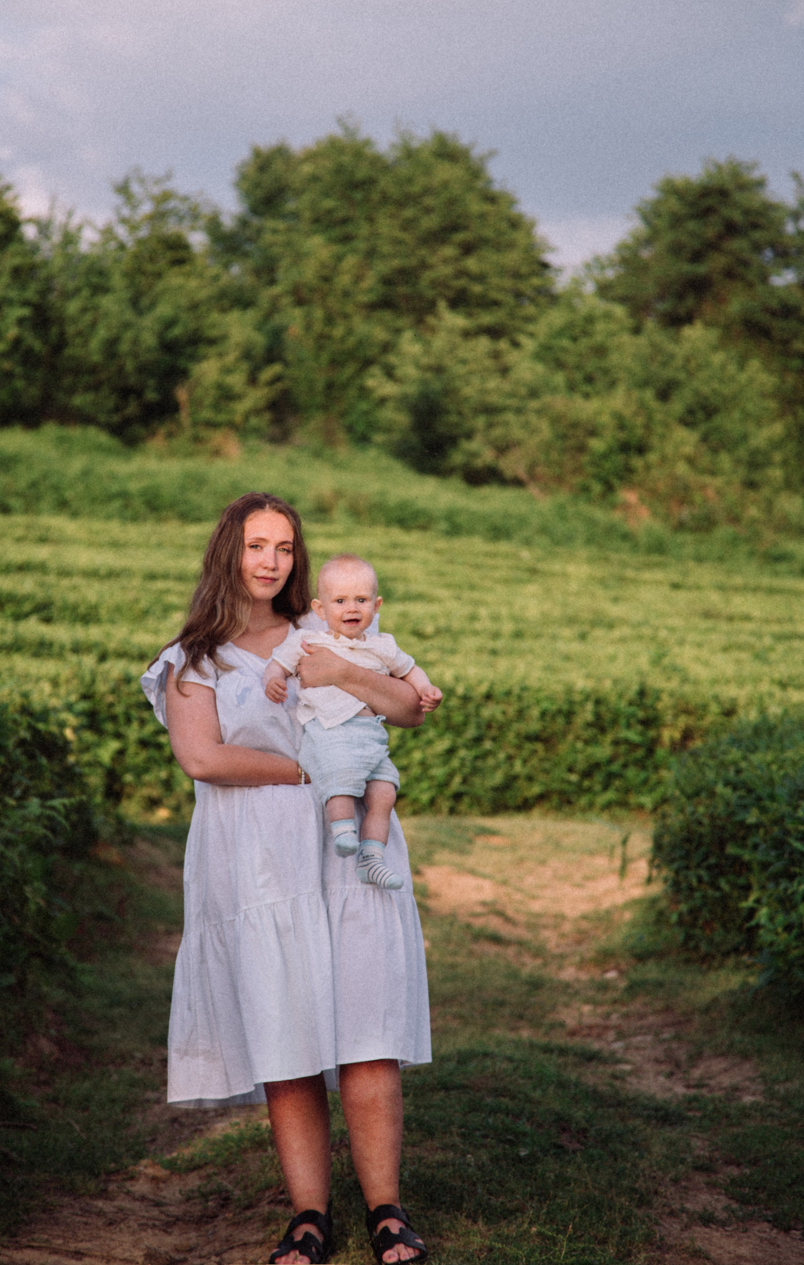 Чайные плантации в Лоо. Семейный фотограф в Сочи, Лоо, Дагомысе, Вардане Кучумова Олеся