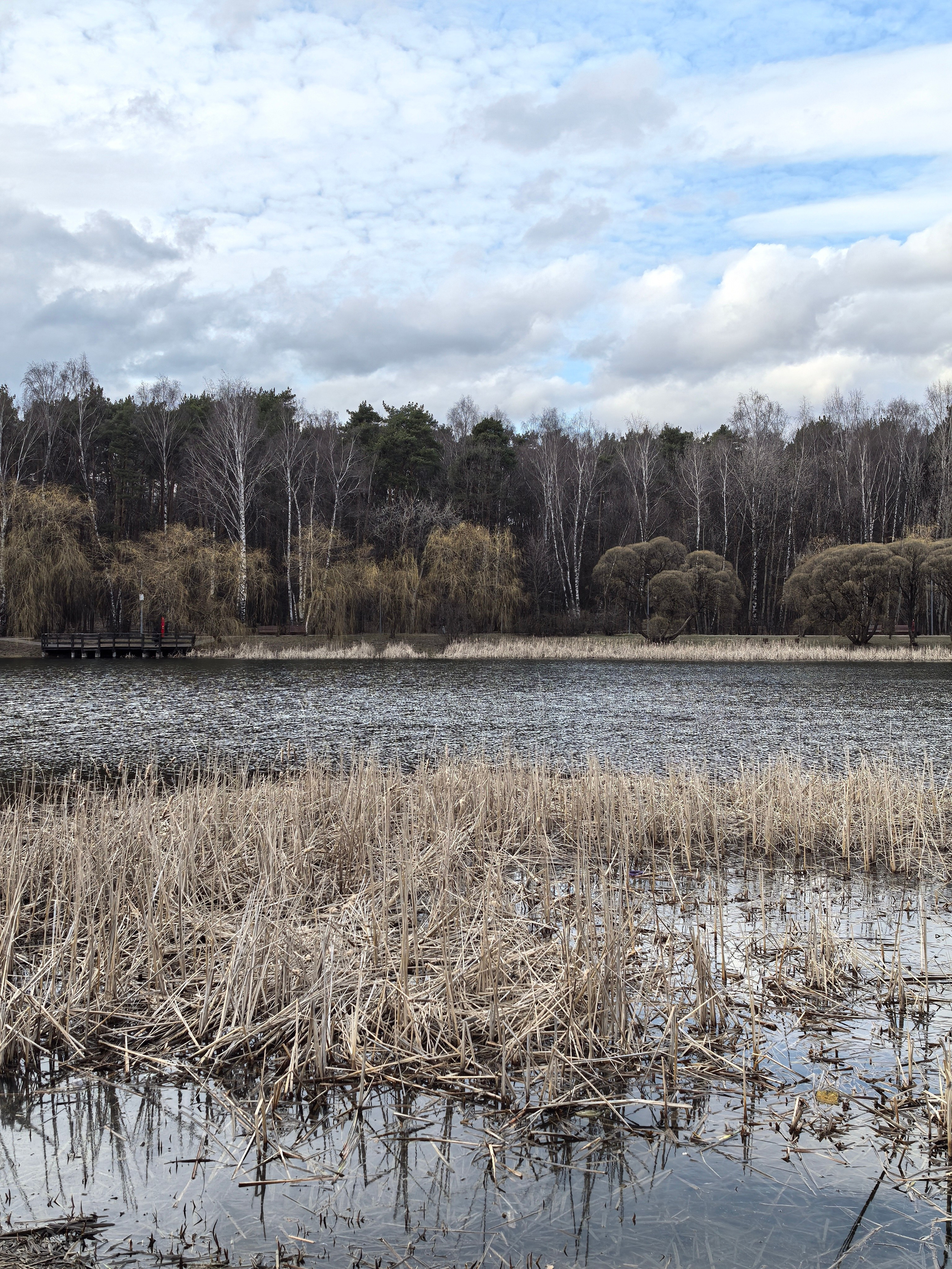 Покровско-Стрешнево. Школьные выпускные альбомы в Москве Марина Николаева