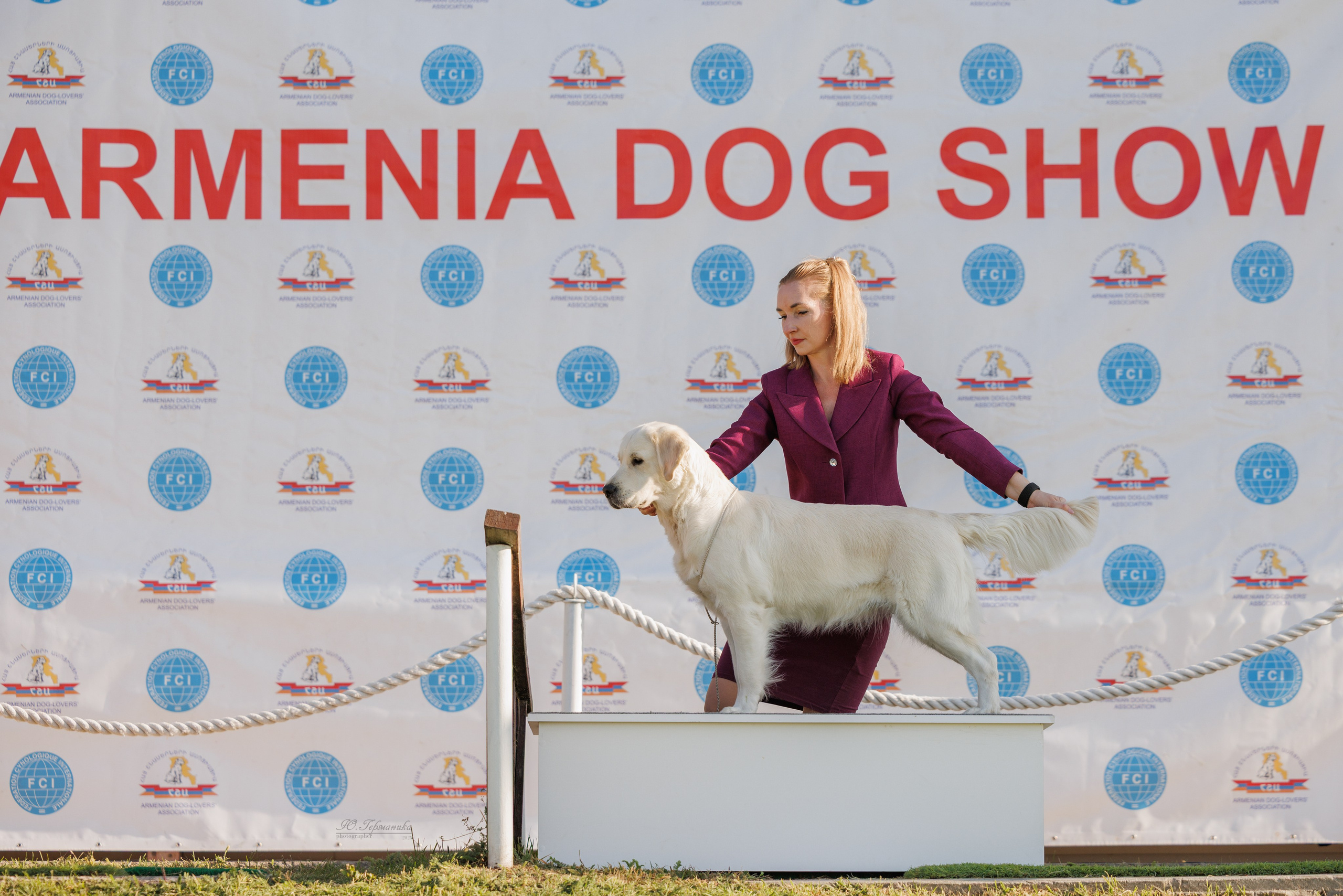 Ереван 14-16.10.2025. Фотограф-анималист Юлия Германика