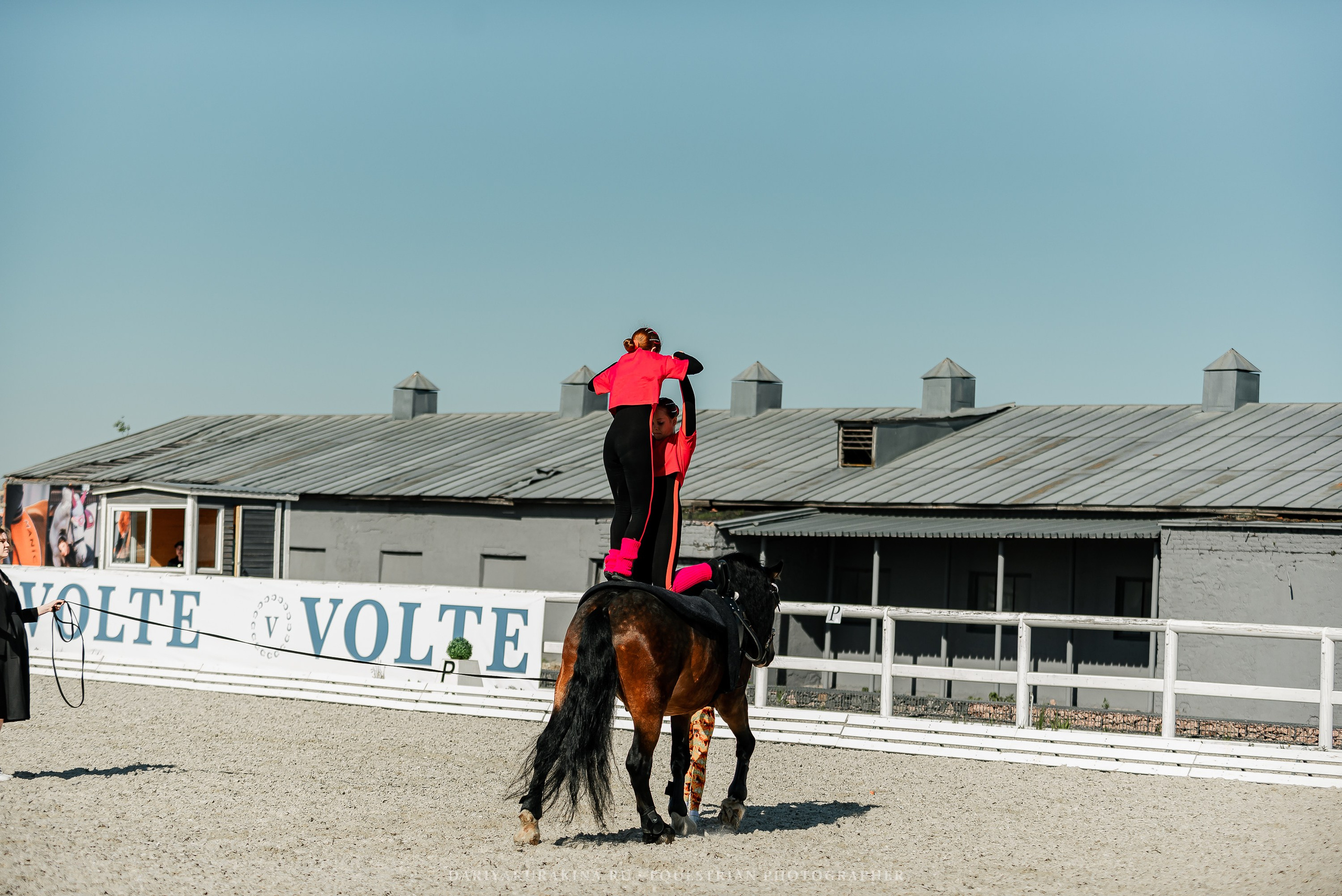 РЕПОРТАЖ МКК ВОЛЬТ «LA TULIPS». Конный фотограф Куракина Дарья • Фотосессии с лошадьми