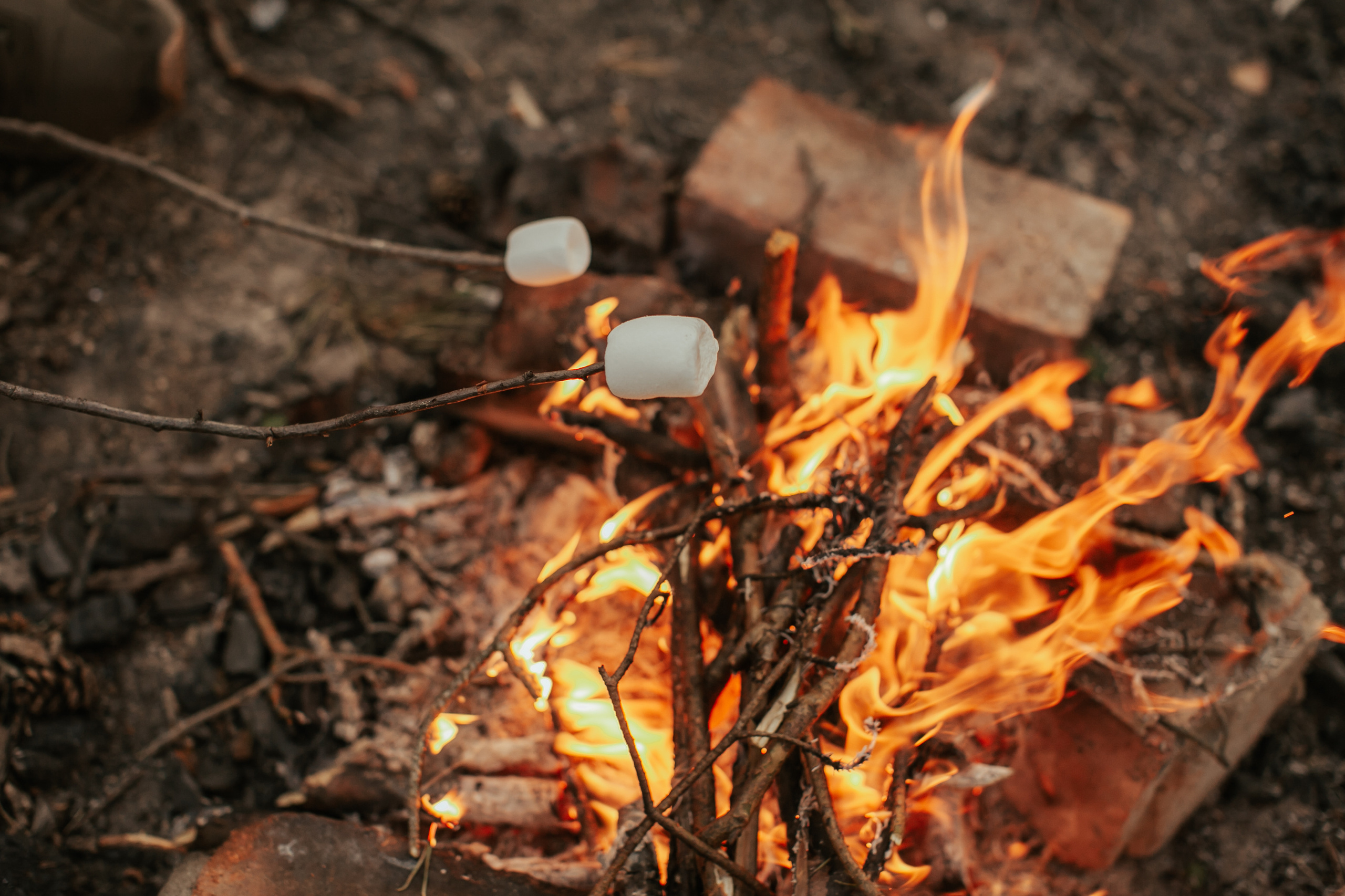 Настя и Паша. Владимир, Россия. Свадебный и семейный фотограф Ольга Сморжанюк