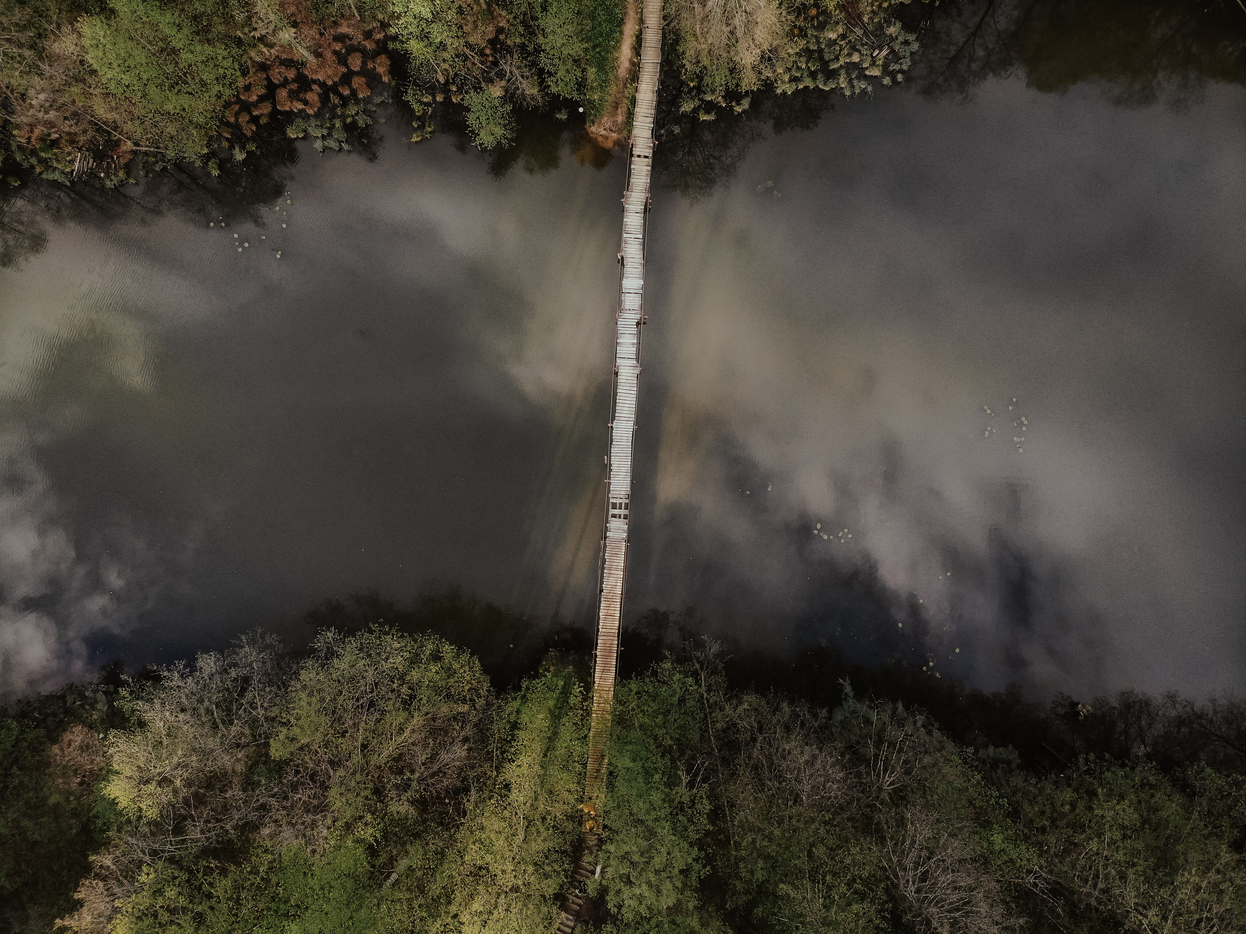 Настя и Паша. Владимир, Россия. Свадебный и семейный фотограф Ольга Сморжанюк