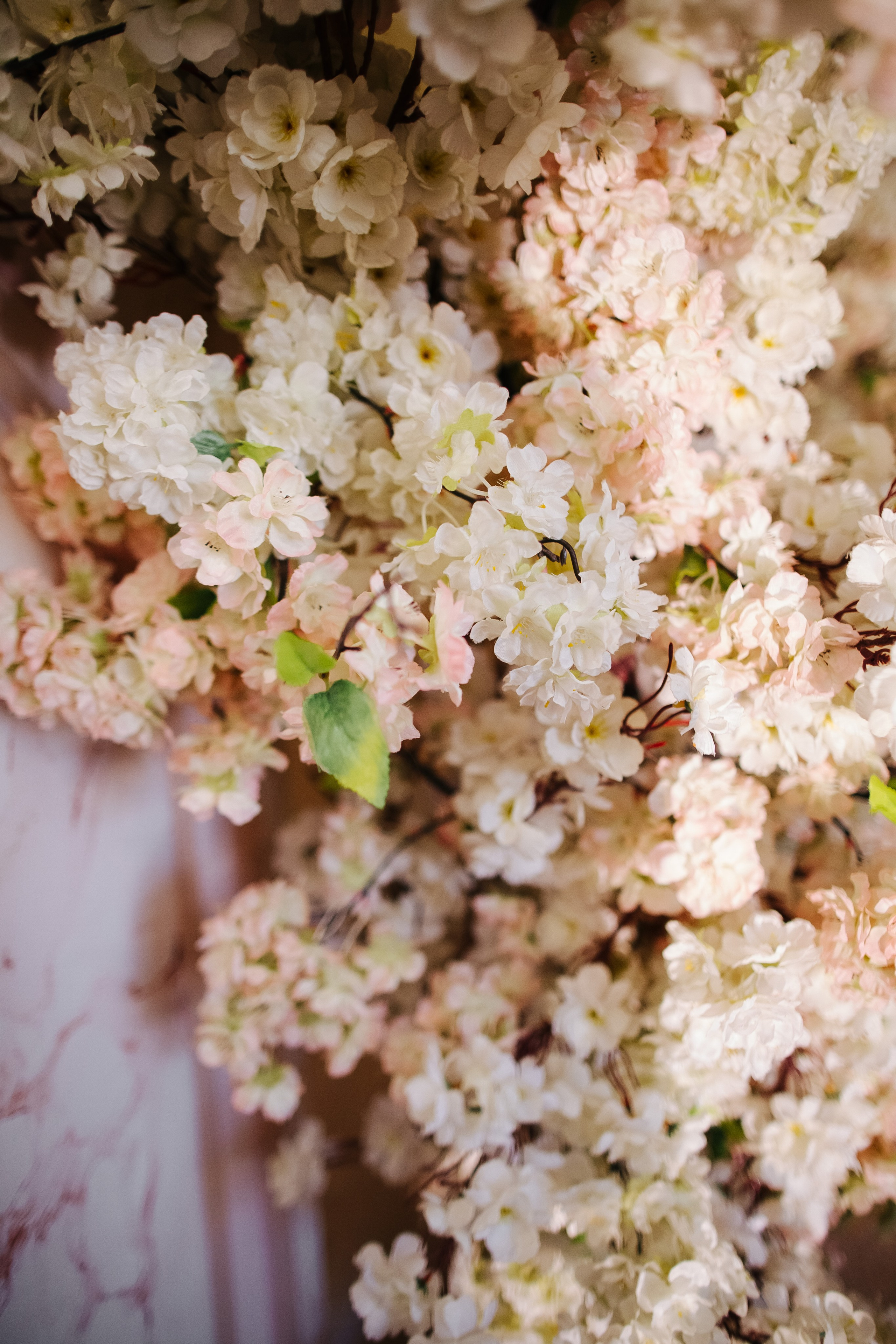 Асим Севиль. Фотограф в Красноярске Надежда Воскресенская