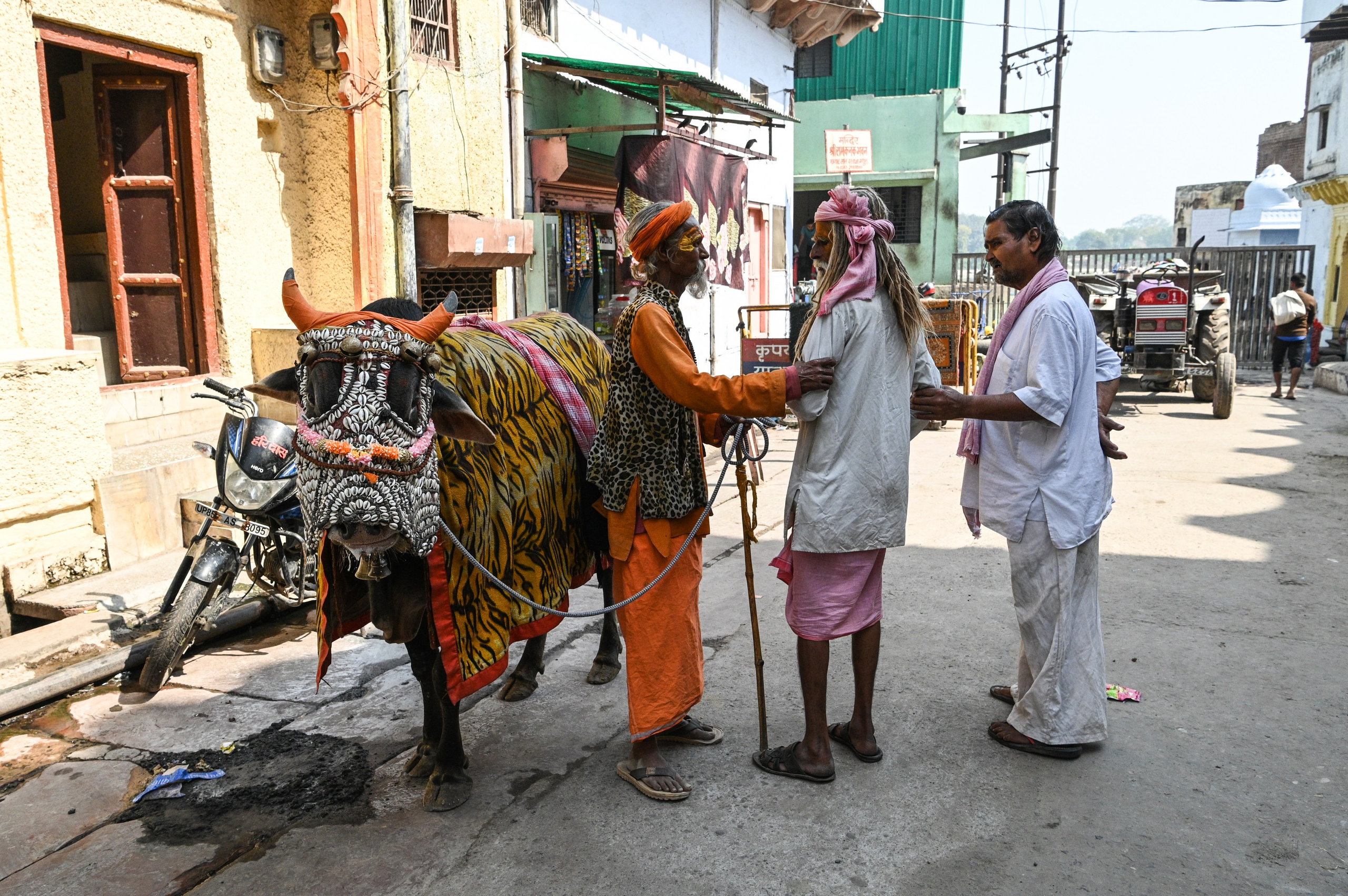 Невероятная Индия. Игорь Иванко — Репортажный и событийный фотограф. Москва