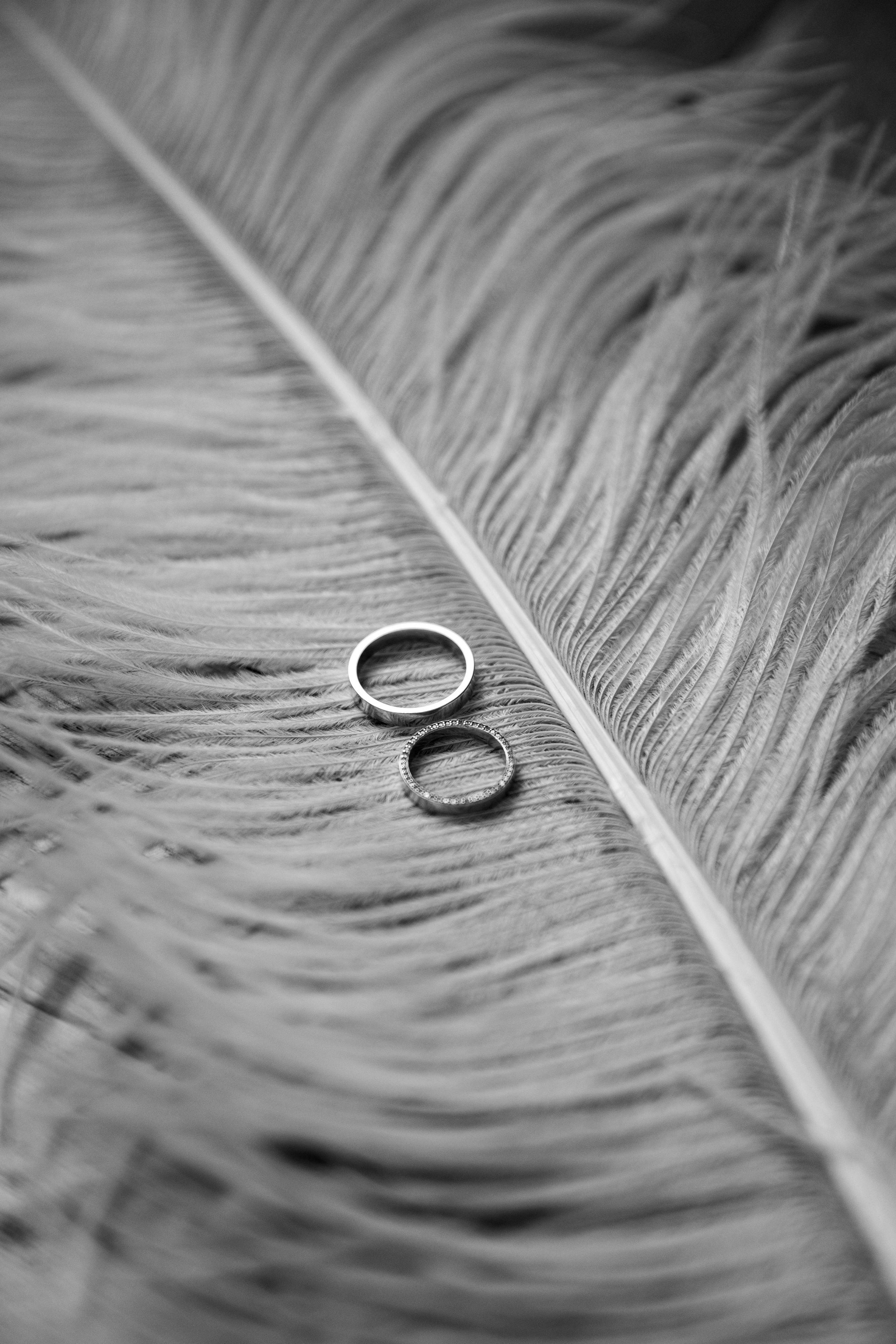 Твоя жемчужина. Свадебный и семейный фотограф в Москве Julia Juice